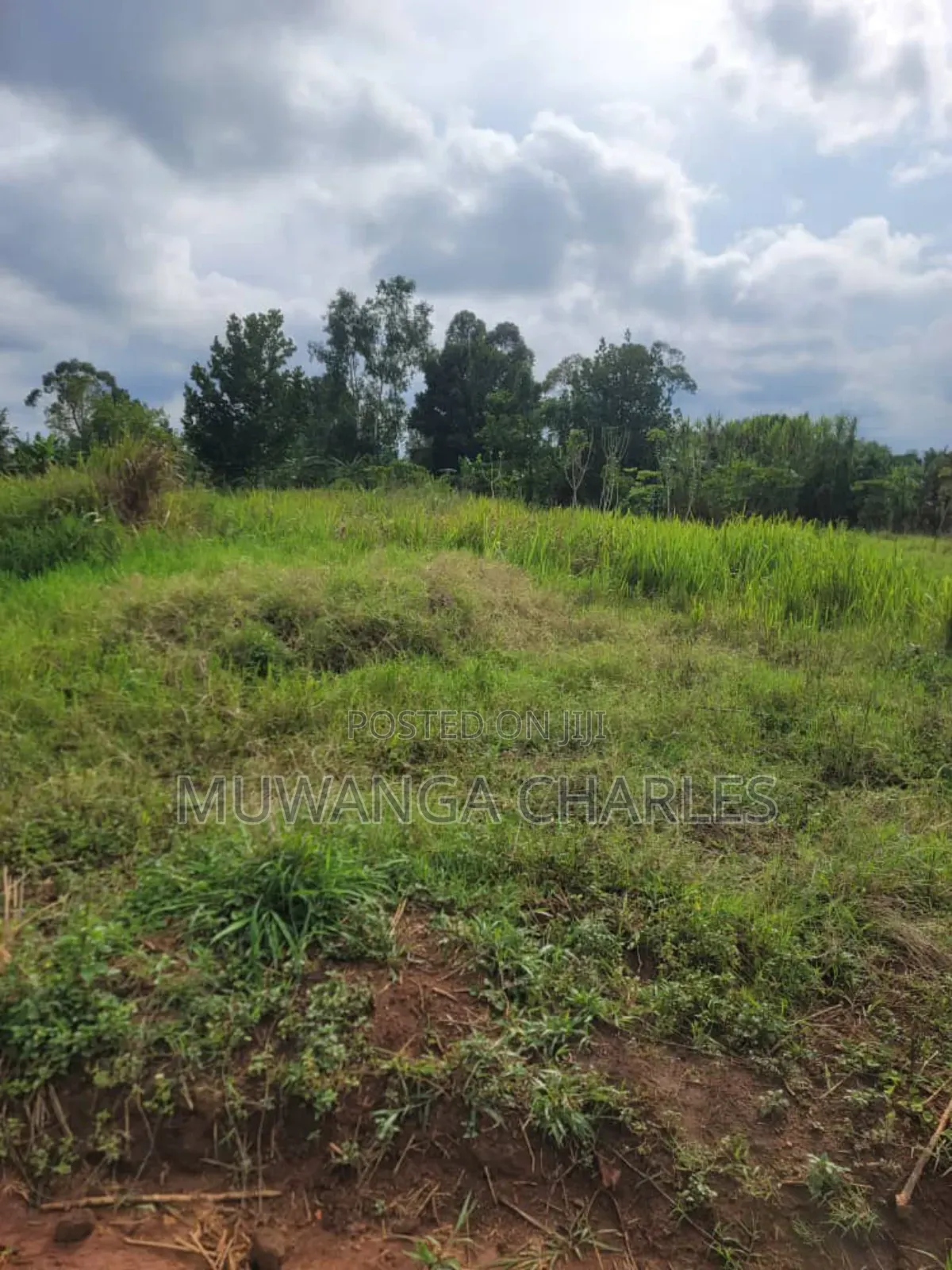 Plots on Sale in Matugga Kilolo in Gombe