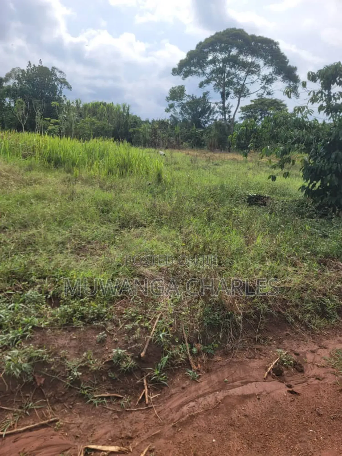 Plots on Sale in Matugga Kilolo in Gombe