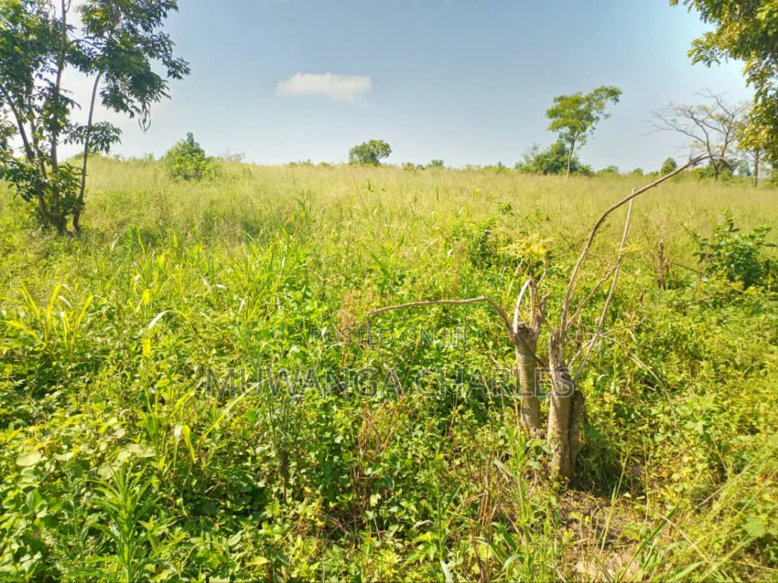 5acres of Land on Sale in Kanyanda Semuto in Gombe