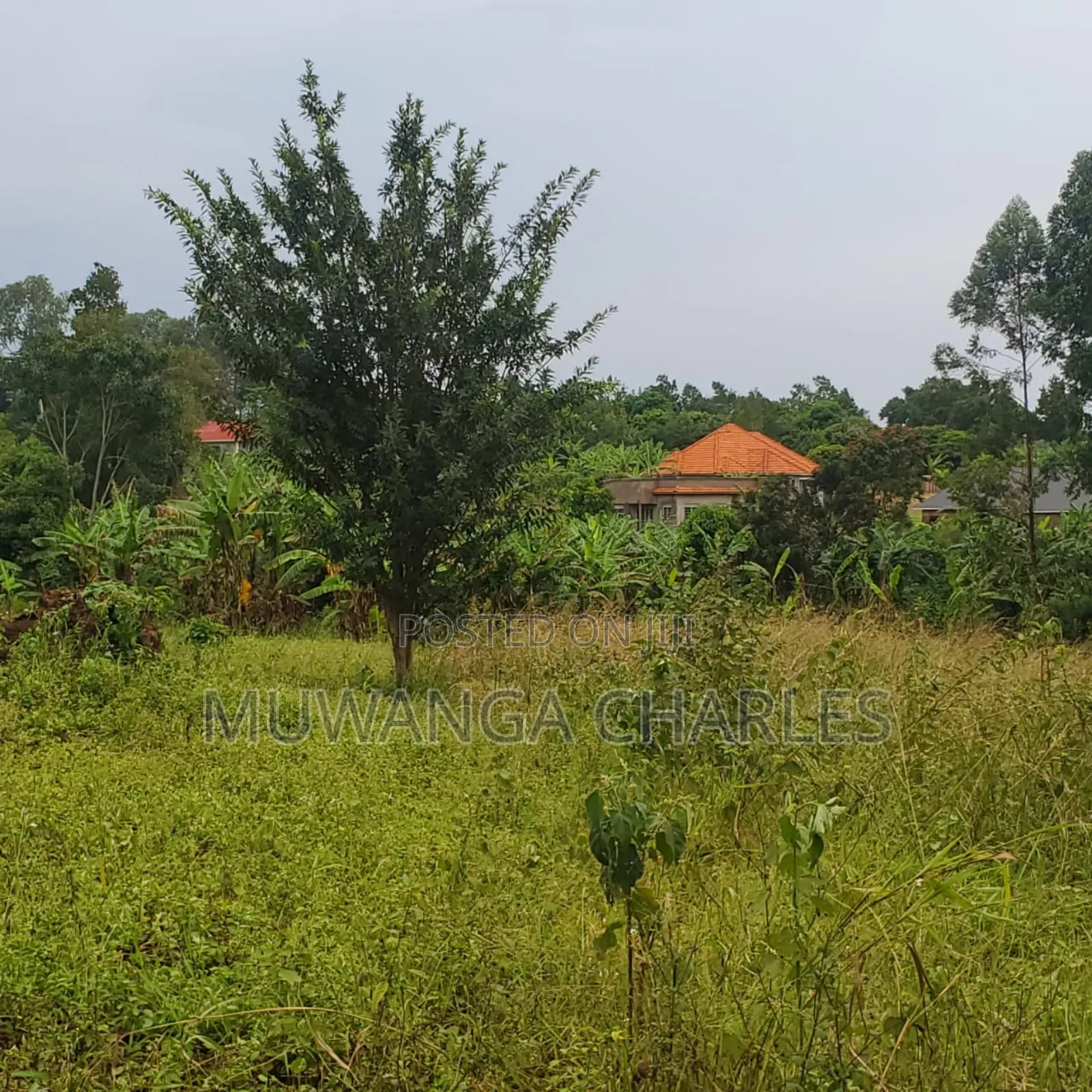 Plot on Sale in Gayaza Makenke in Nangabo