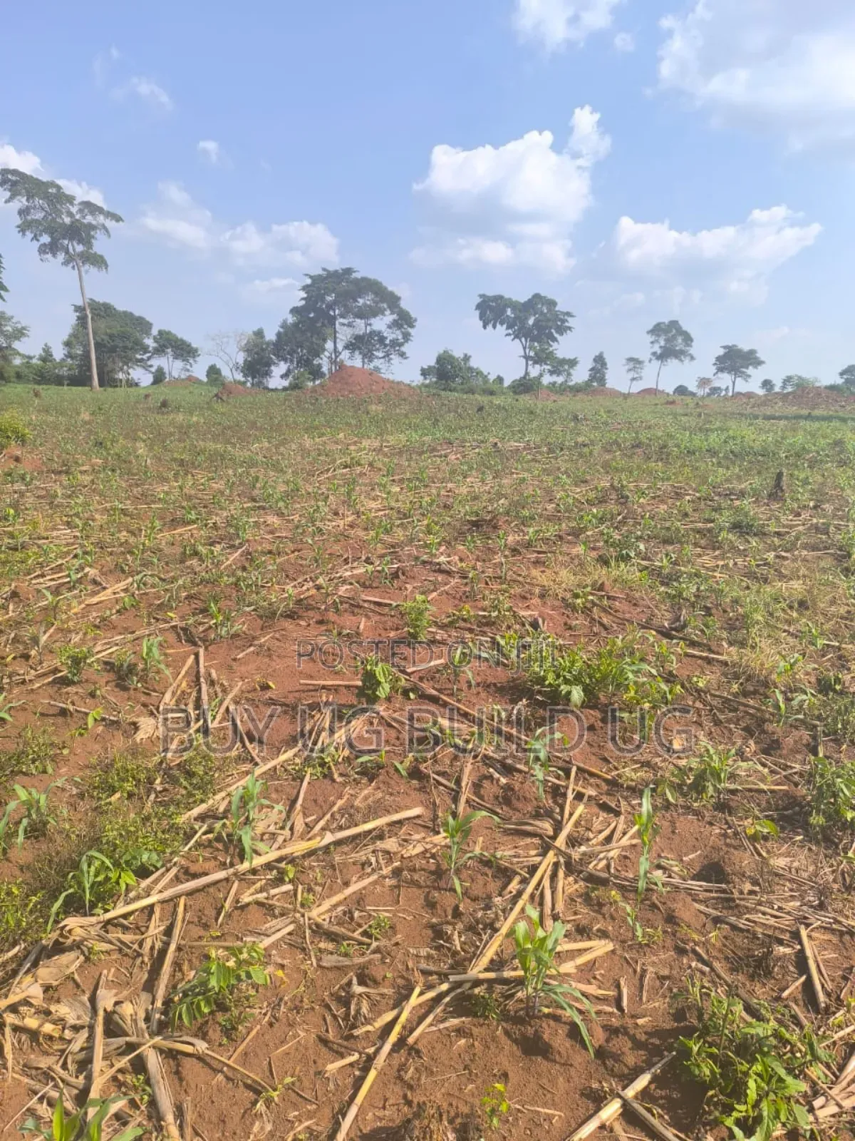 Farmland of #10_acres of Land Fo in #Luwero_kakooge Selling (14m in Luwero / Luwero