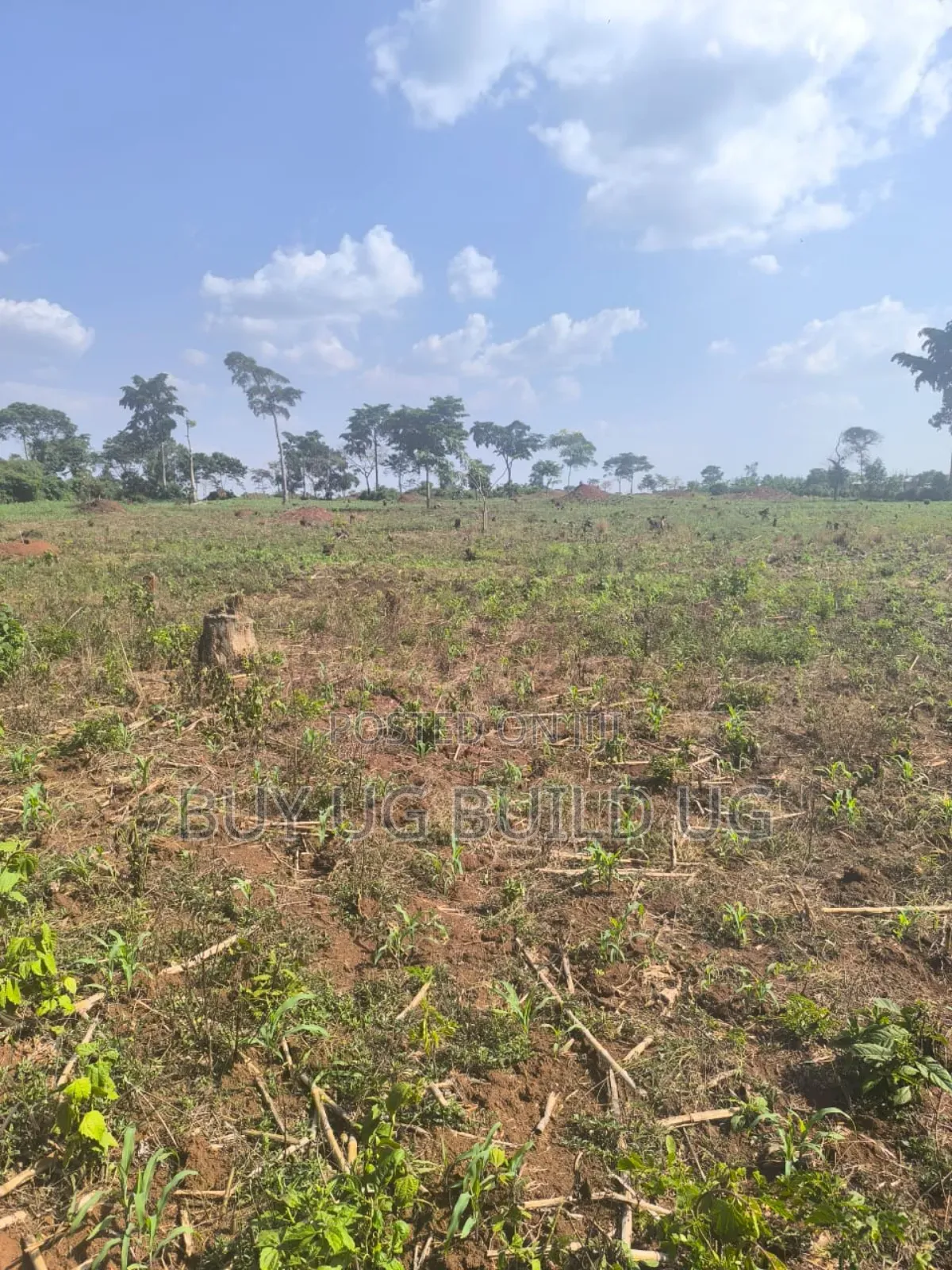 Farmland of #10_acres of Land Fo in #Luwero_kakooge Selling (14m in Luwero / Luwero