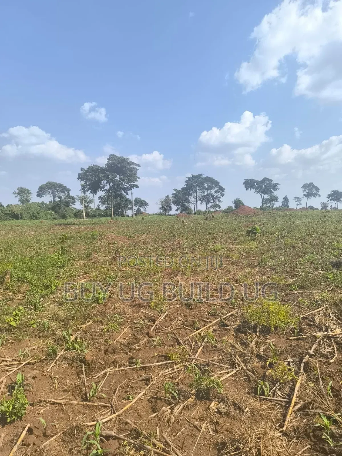 Farmland of #10_acres of Land Fo in #Luwero_kakooge Selling (14m in Luwero / Luwero