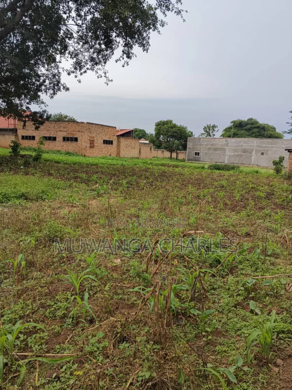 Plots on Sale in Matugga Buwambo in Division A