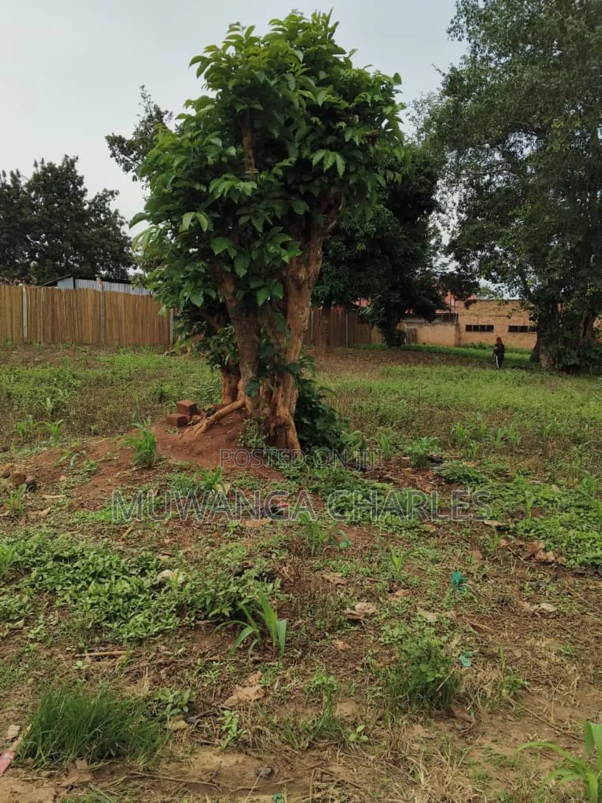 Plots on Sale in Matugga Buwambo in Division A