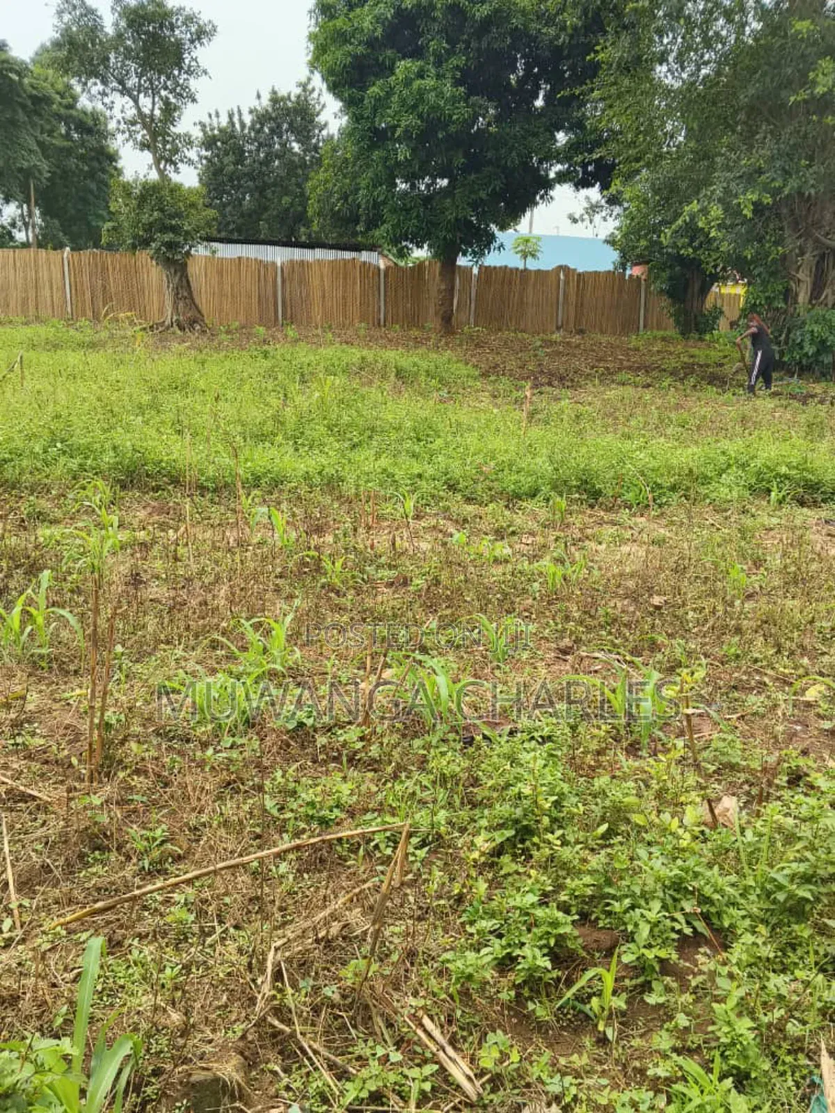 Plots on Sale in Matugga Buwambo in Division A