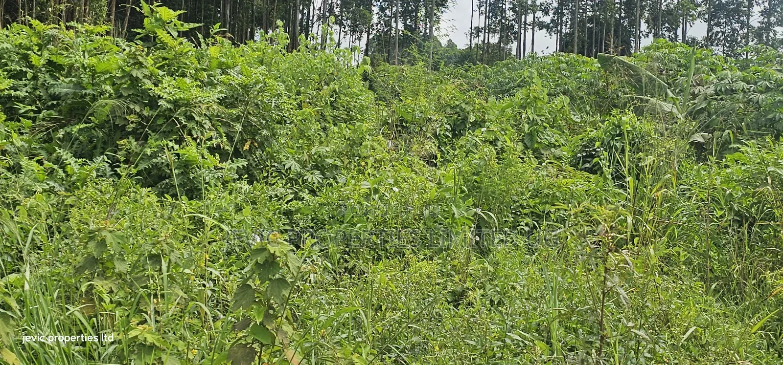 Plot on Quick Sale at Wakiso Near Town in Wakiso / Wakiso