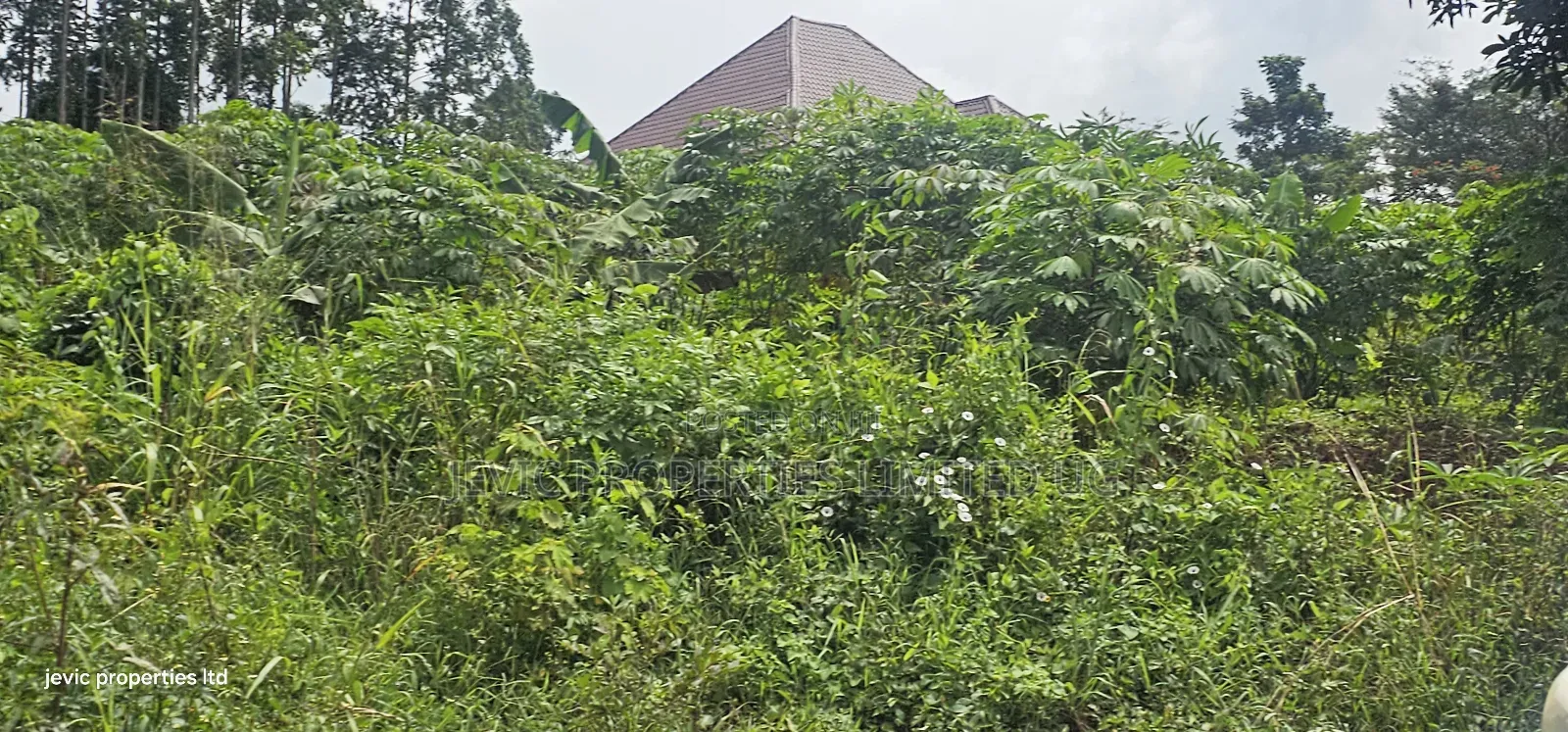 Plot on Quick Sale at Wakiso Near Town in Wakiso / Wakiso