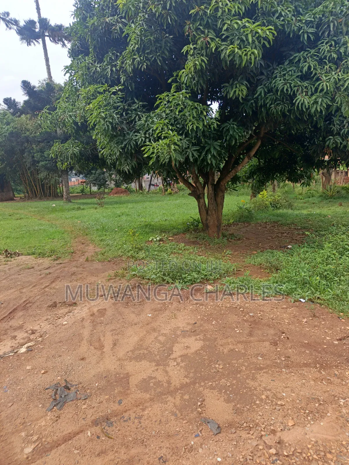 65decimals of Land on Sale in Kisaasi in Nakawa