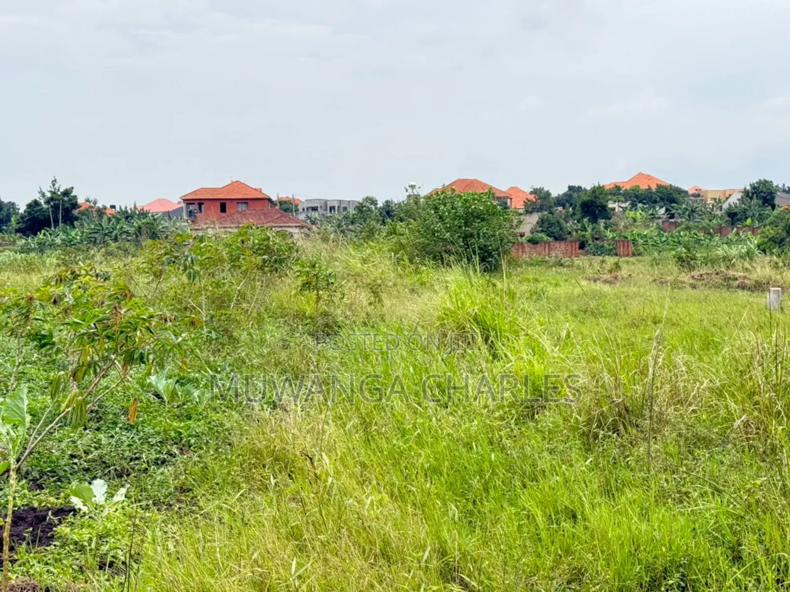 Land on Sale in Kira Nsasa in Kira