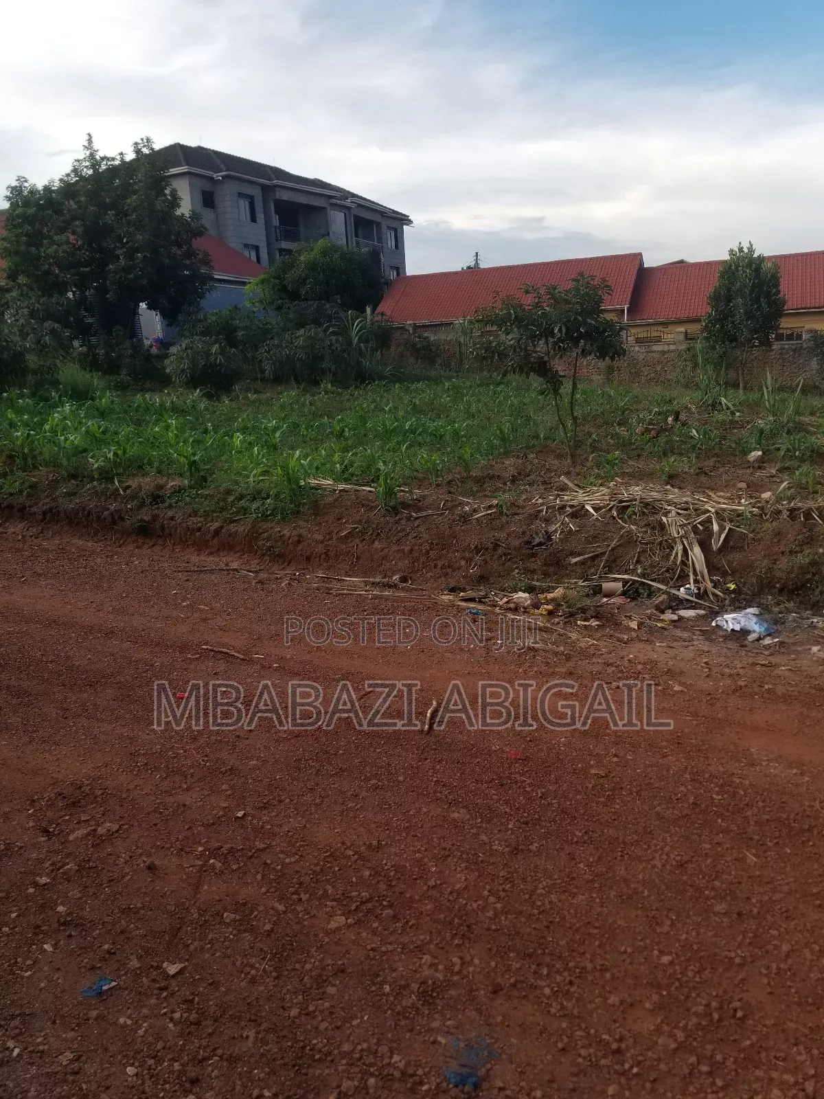 Land and Plots 50/100 in Wakiso / Wakiso