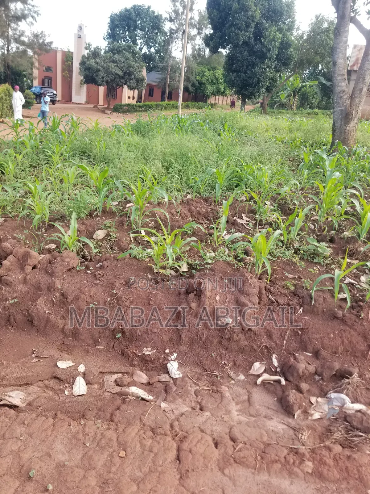 Land and Plots 50×100 in Wakiso / Wakiso