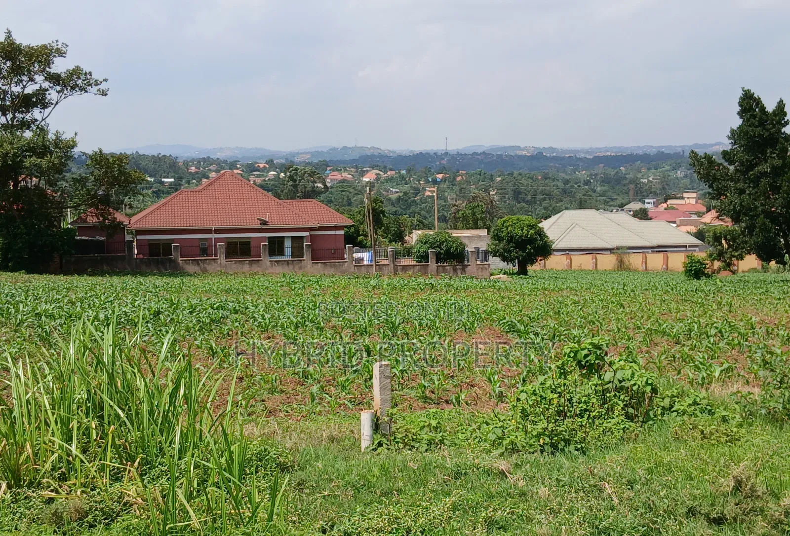 4 Prime Acres of Land for Sale Wakiso~Kisimbiri Along Hoima Road X in Wakiso / Wakiso