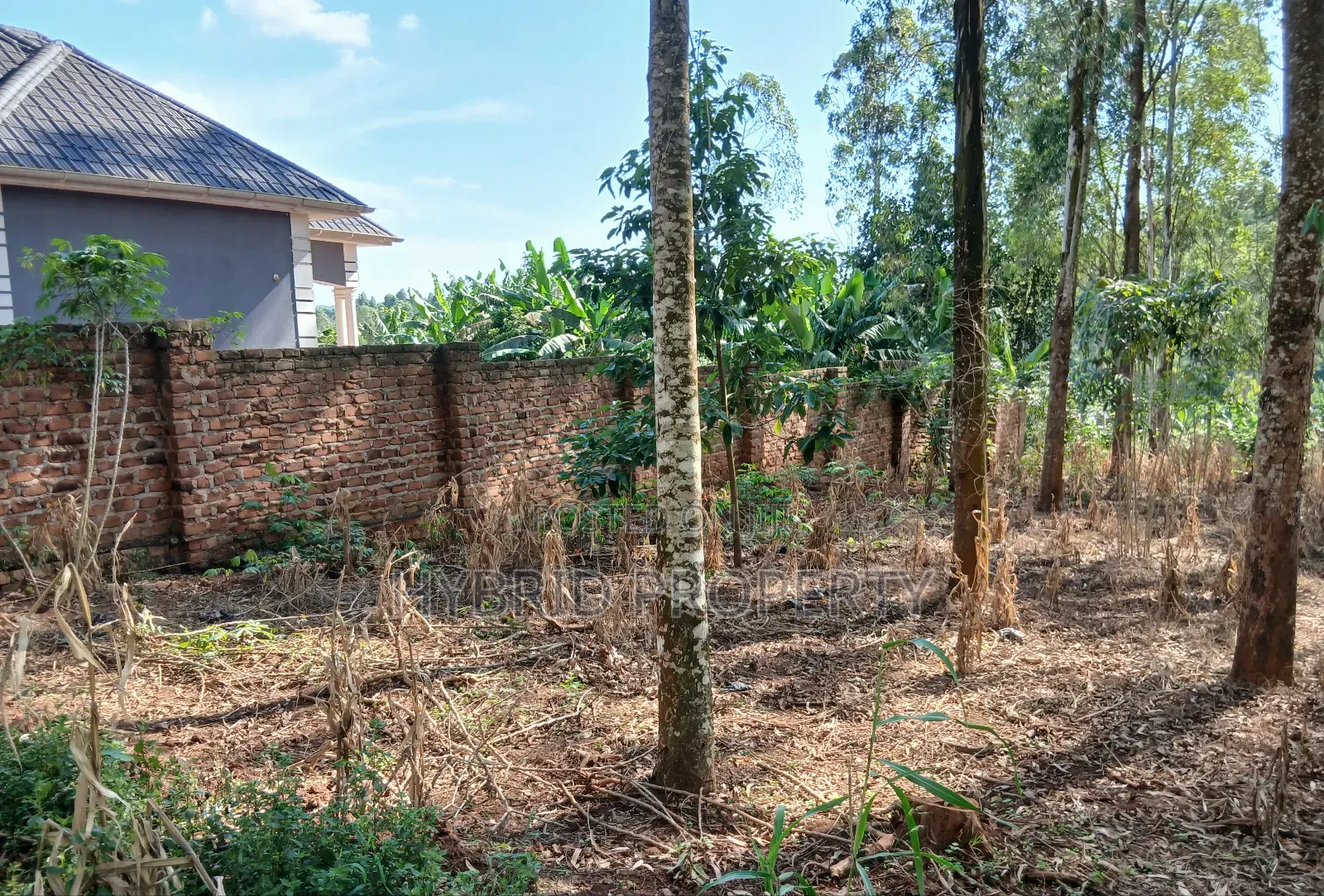 2 Prime Acres of Land for Sale at Wakiso~Bulabakulu Along Hoima Road V in Wakiso / Wakiso