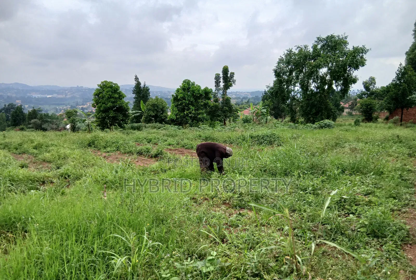 Prime 1acre of Land for Sale at Wakiso~Kona Along Hoima Road V. in Wakiso / Wakiso