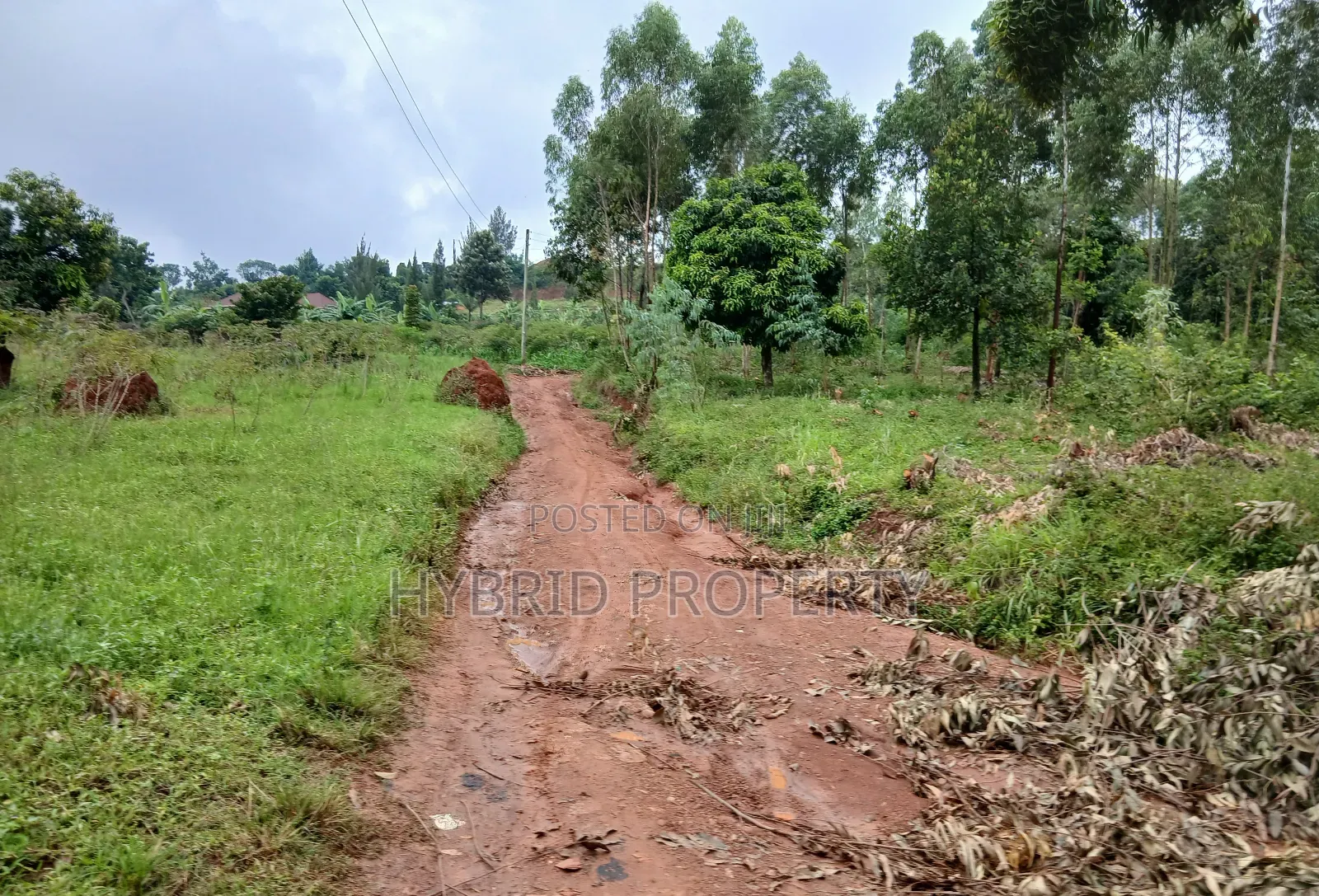 Prime 2acres of Land for Sale at Wakiso~Sala Along Hoima~Kampala Rd B in Wakiso / Wakiso