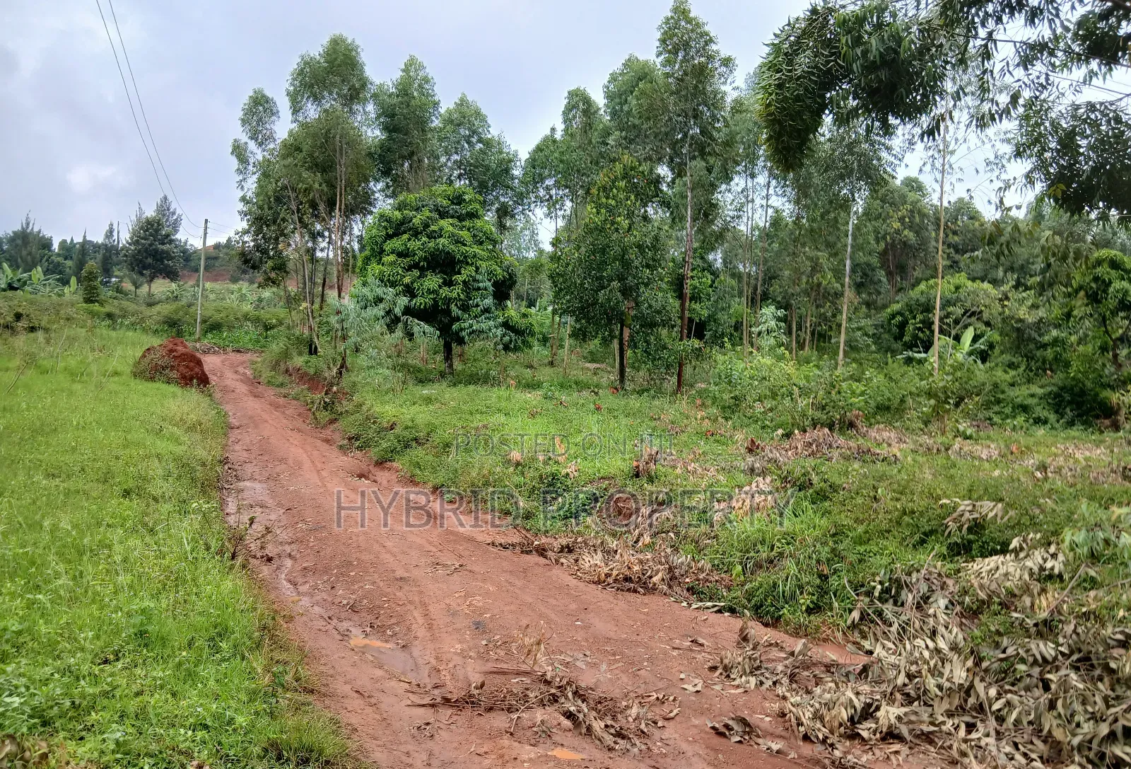 Prime 2acres of Land for Sale at Wakiso~Sala Along Hoima~Kampala Rd B in Wakiso / Wakiso