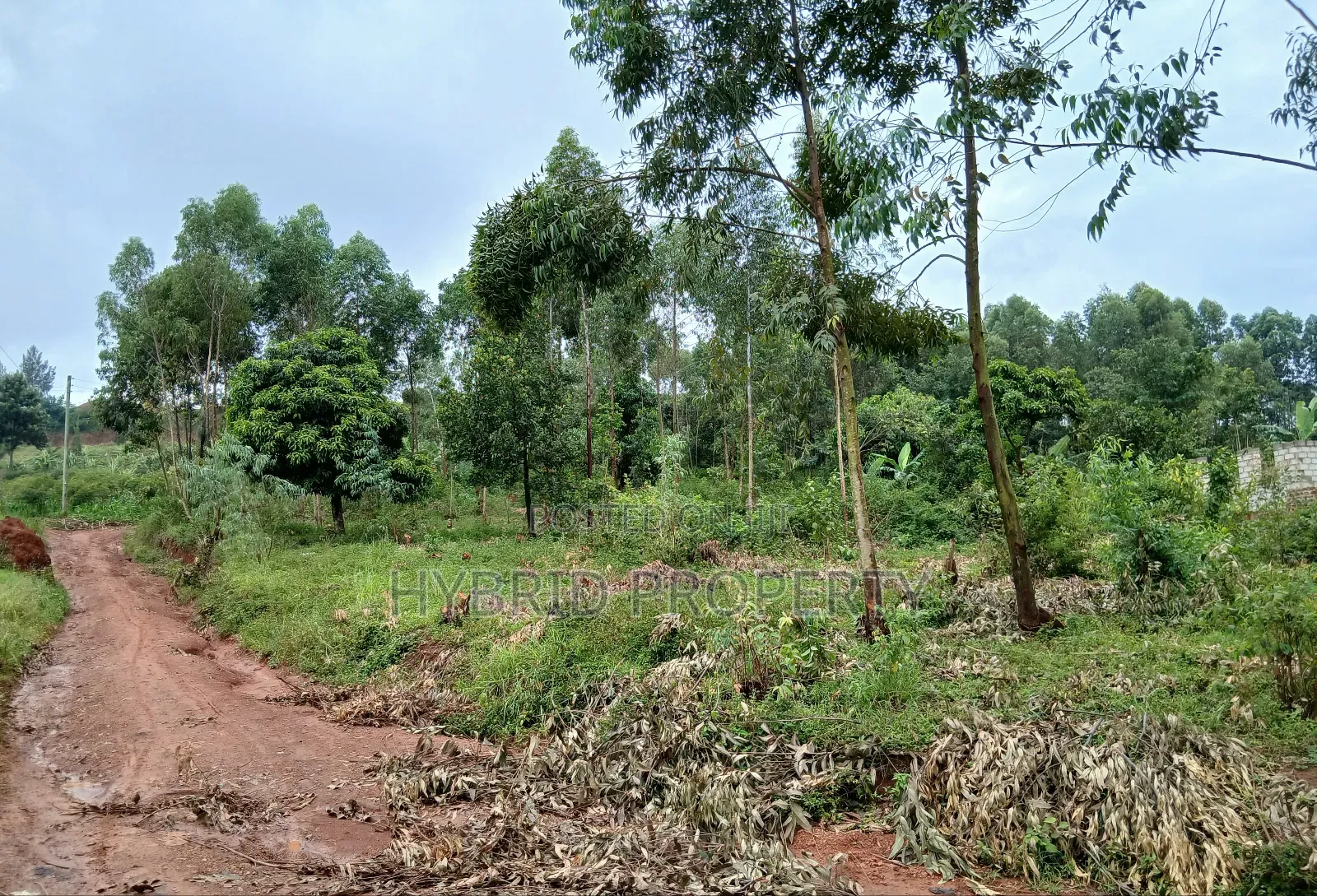 Prime 2acres of Land for Sale at Wakiso~Sala Along Hoima~Kampala Rd B in Wakiso / Wakiso