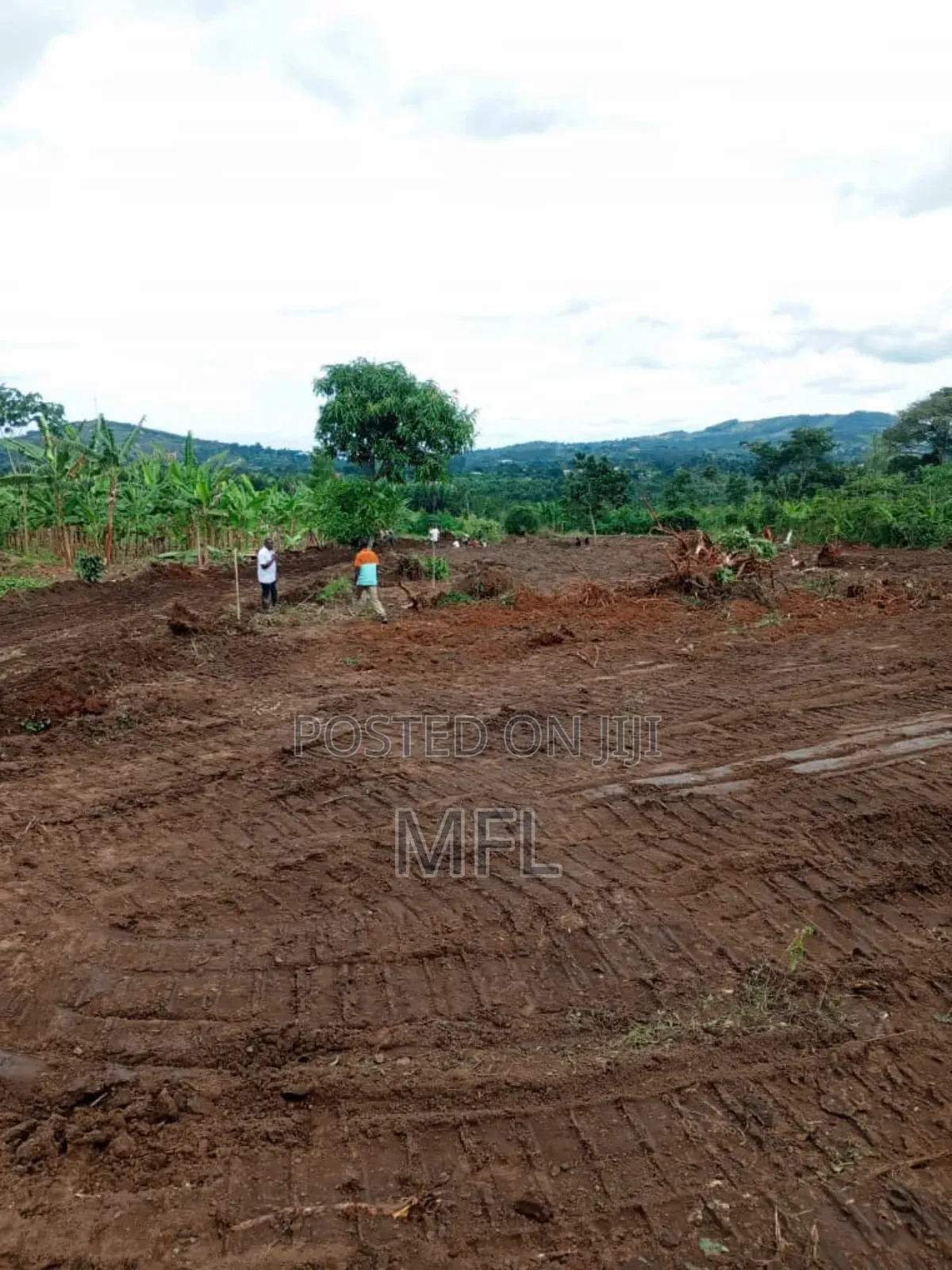 Namayumba Bujimba in Wakiso / Wakiso