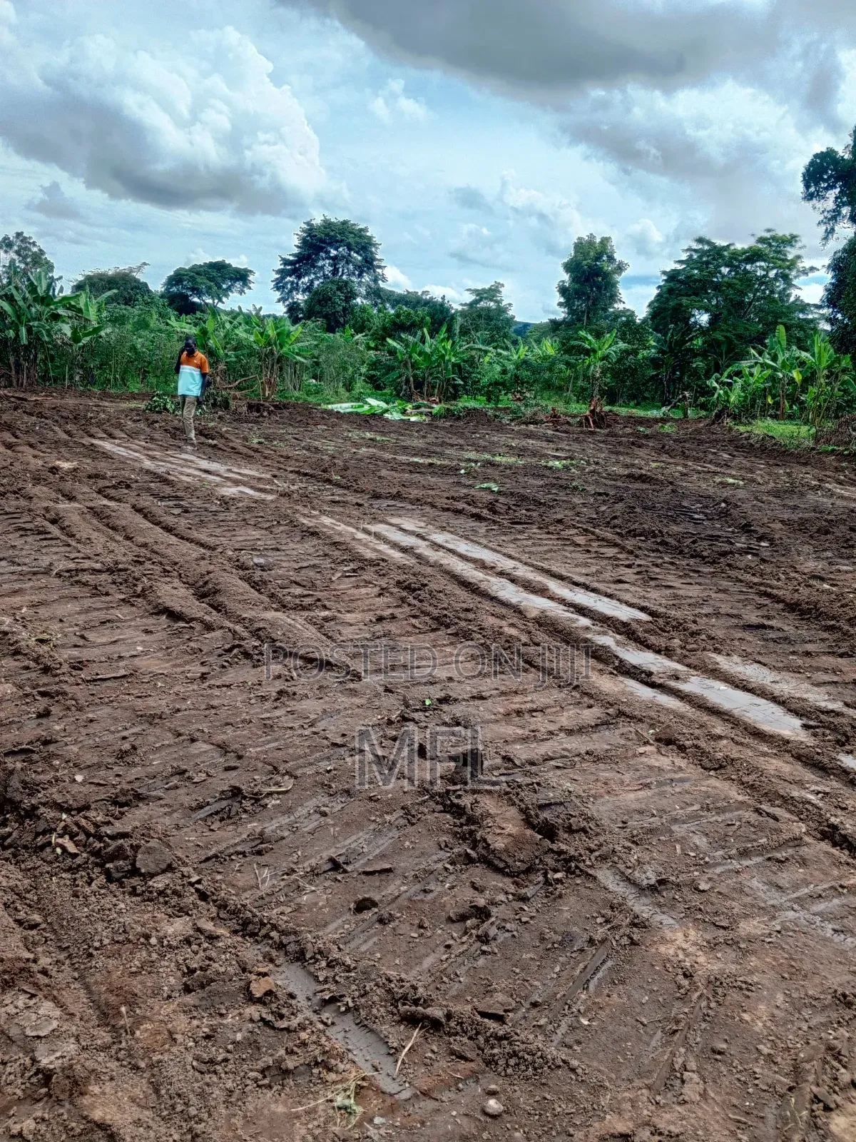 Namayumba Bujimba in Wakiso / Wakiso