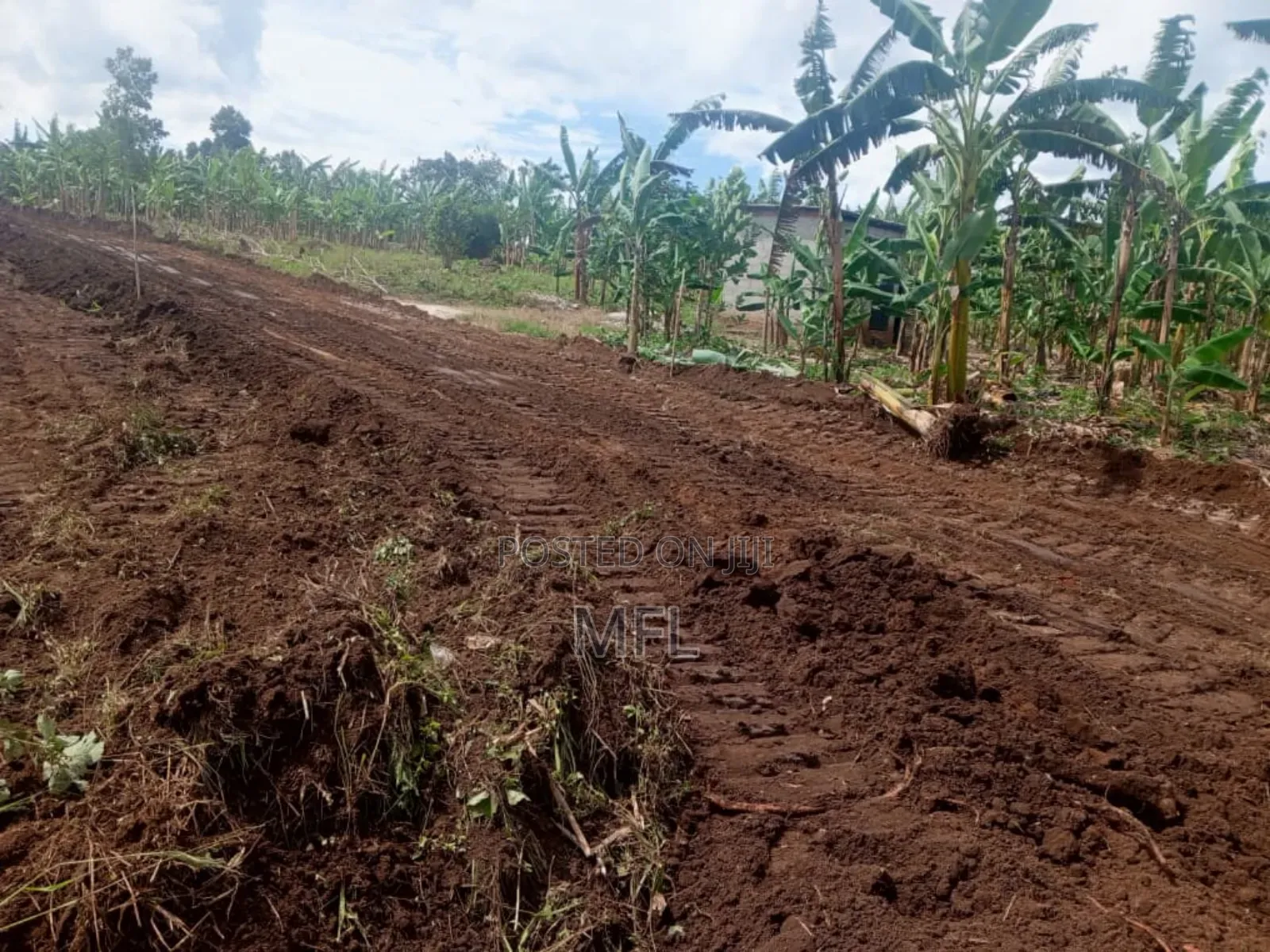 Namayumba Bujimba in Wakiso / Wakiso