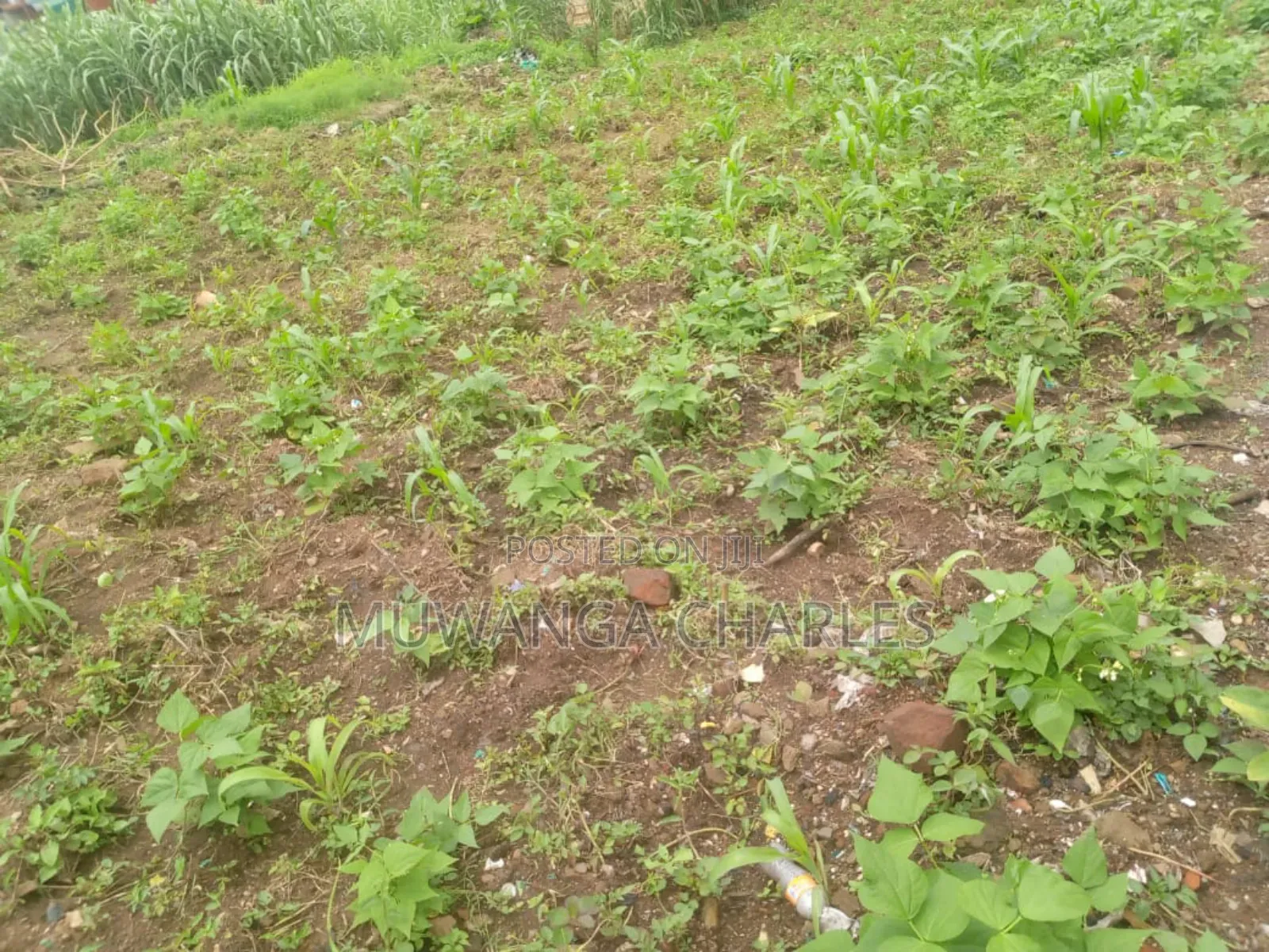 100by50ft Plot of Land on Sale in Kitukutwe in Kira