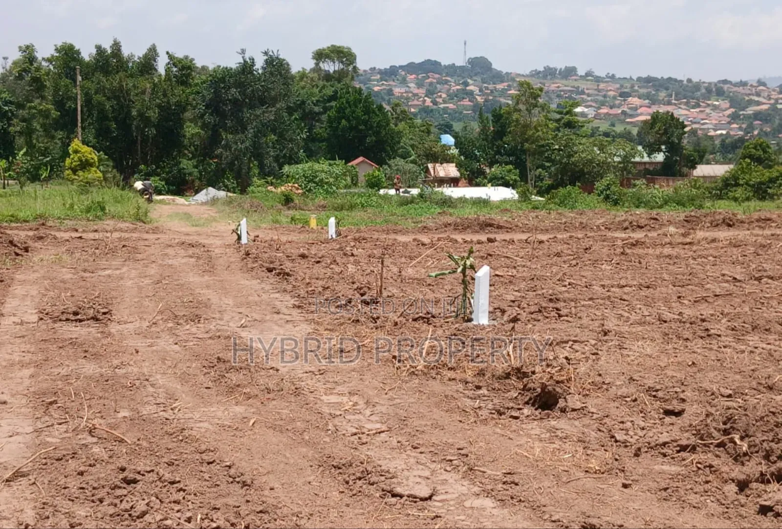 Prime Plots for Sale at Wakiso~Bulabakulu Sweetillious Estate~Hoima Rd in Wakiso / Wakiso