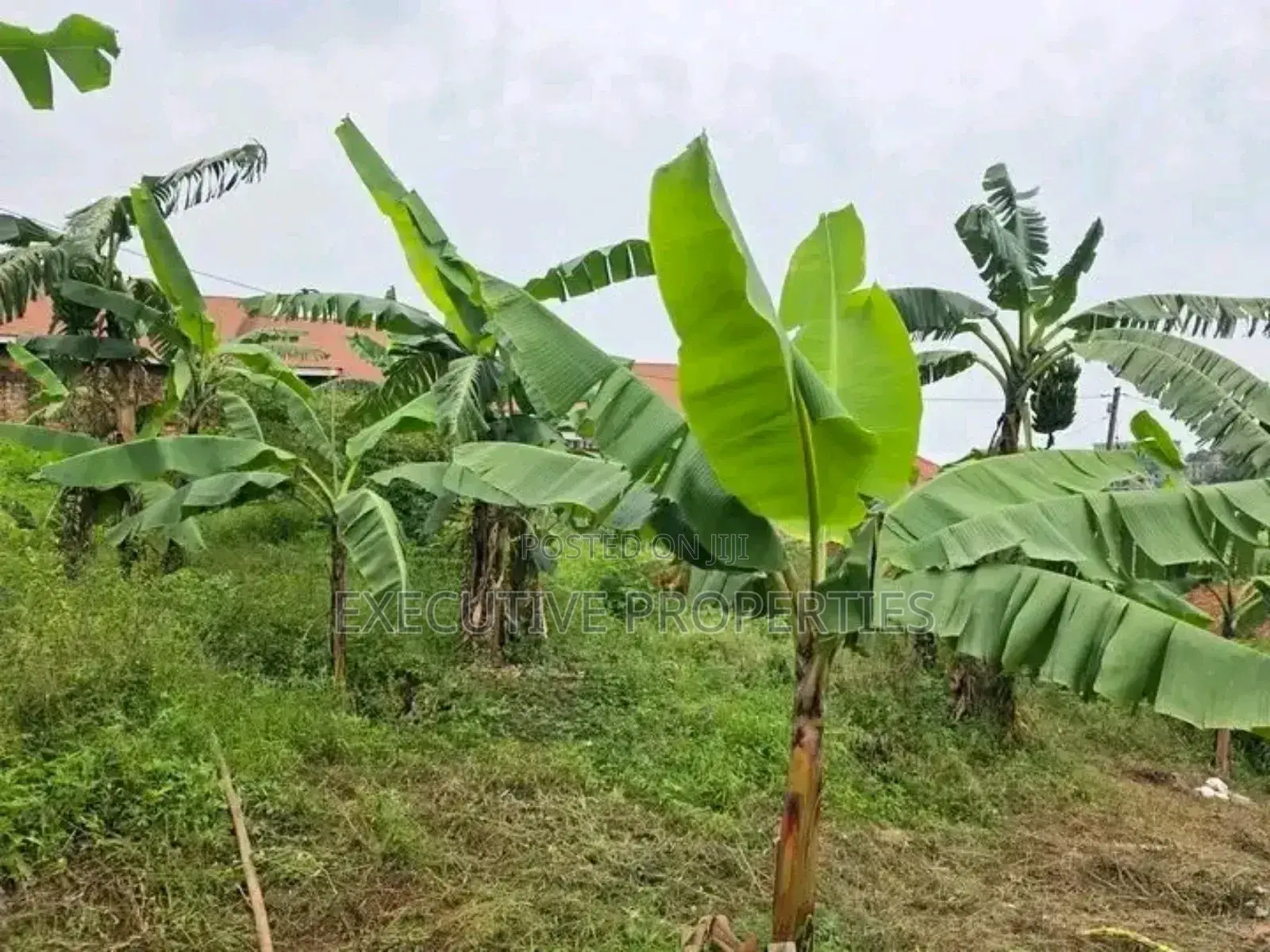 Naalya 35 Decimals Plot for Sale in Central Division