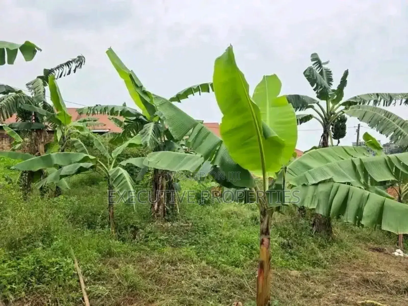 Naalya 35 Decimals Plot for Sale in Central Division
