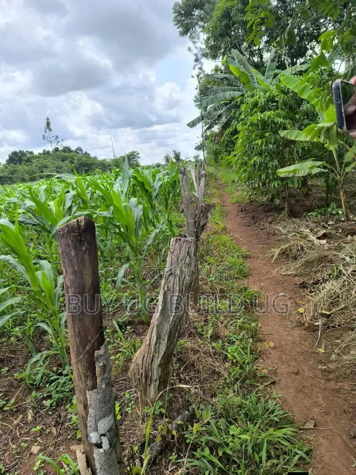Quick Sale
Farmers! 215_acres 10m Luwero Kakooge in Luwero / Luwero