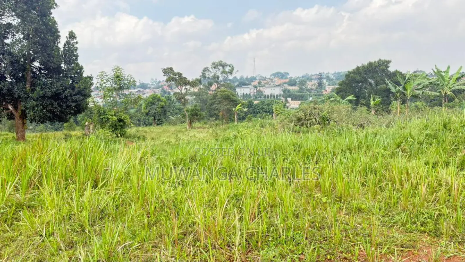 Plot On Sale In Kiwologoma Kira in Kira