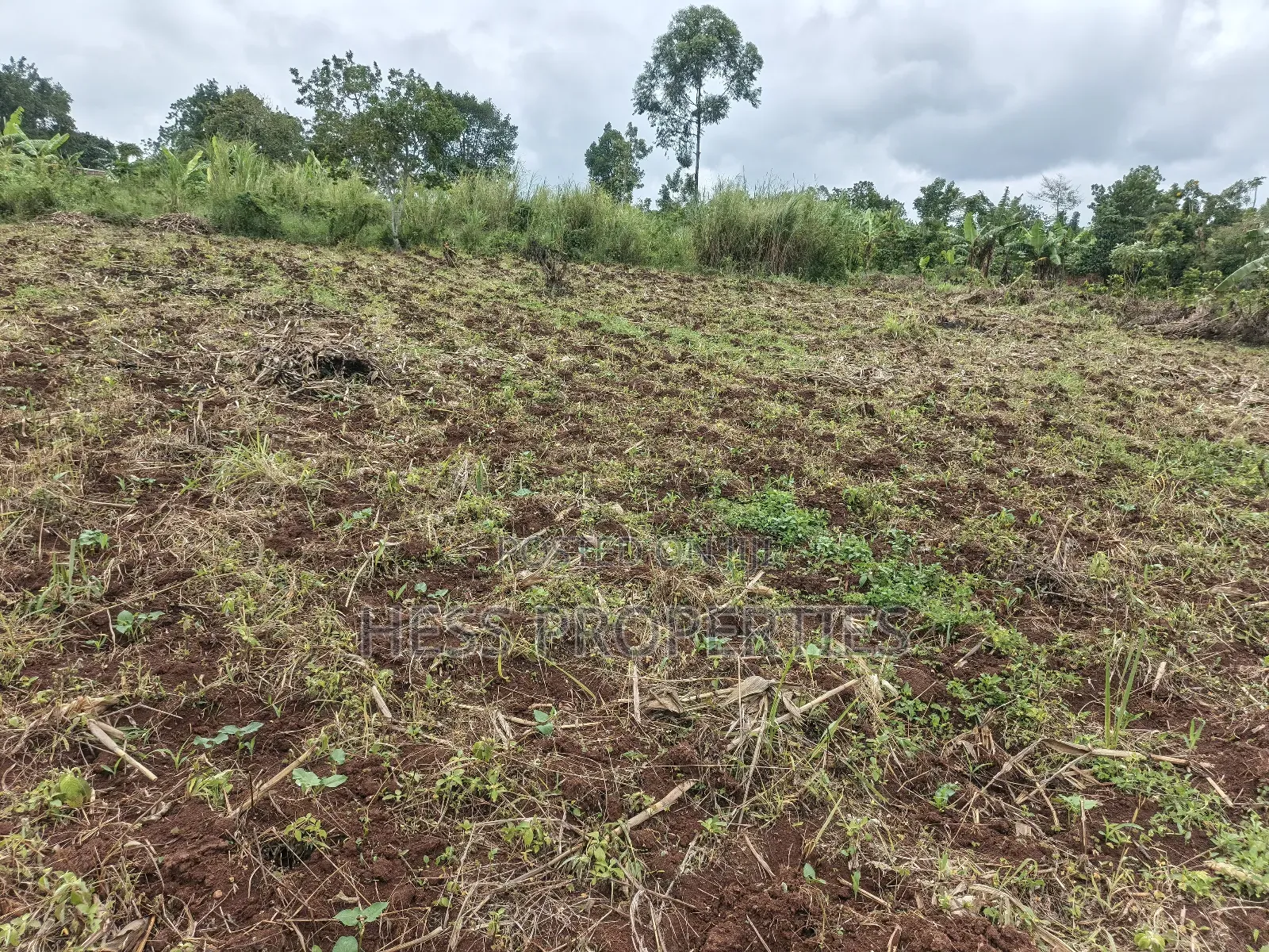 9acres of Agricultural Land on Sale Located in Kisojo in Kyenjojo