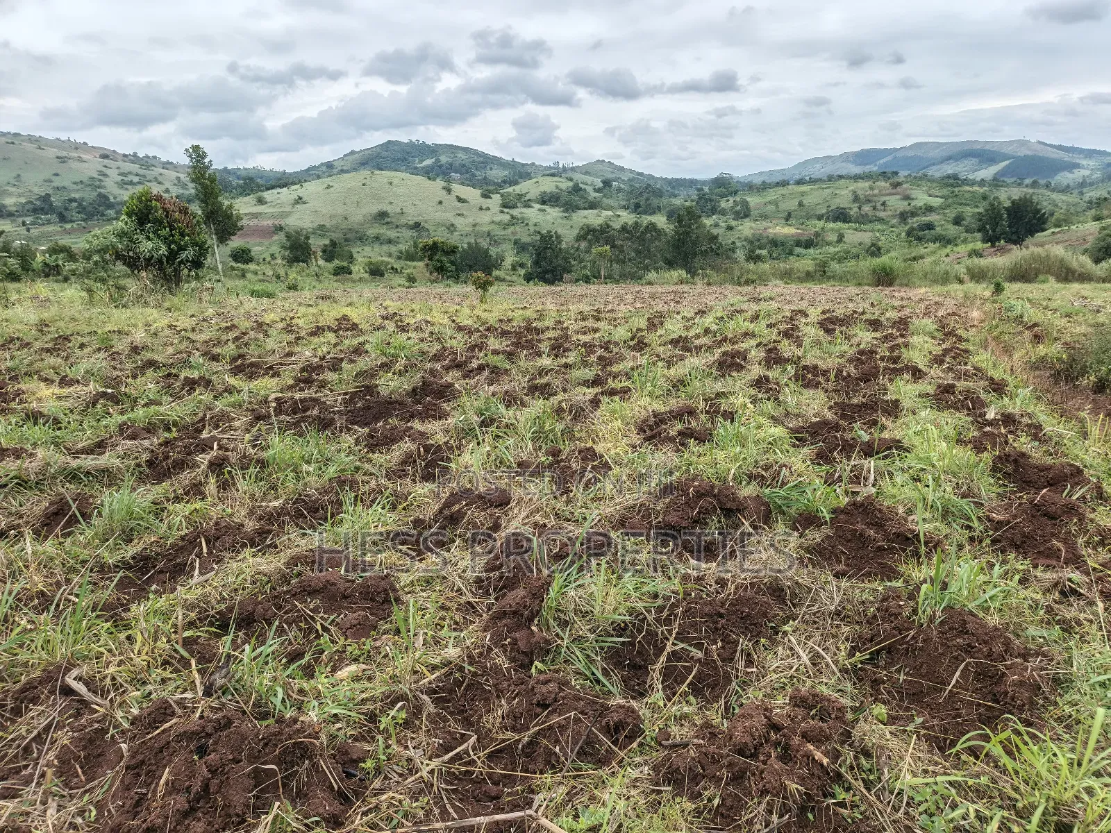 9acres of Agricultural Land on Sale Located in Kisojo in Kyenjojo