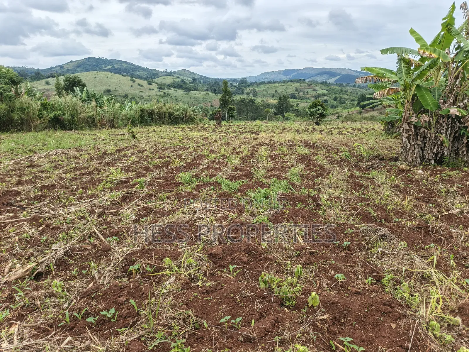 9acres of Agricultural Land on Sale Located in Kisojo in Kyenjojo