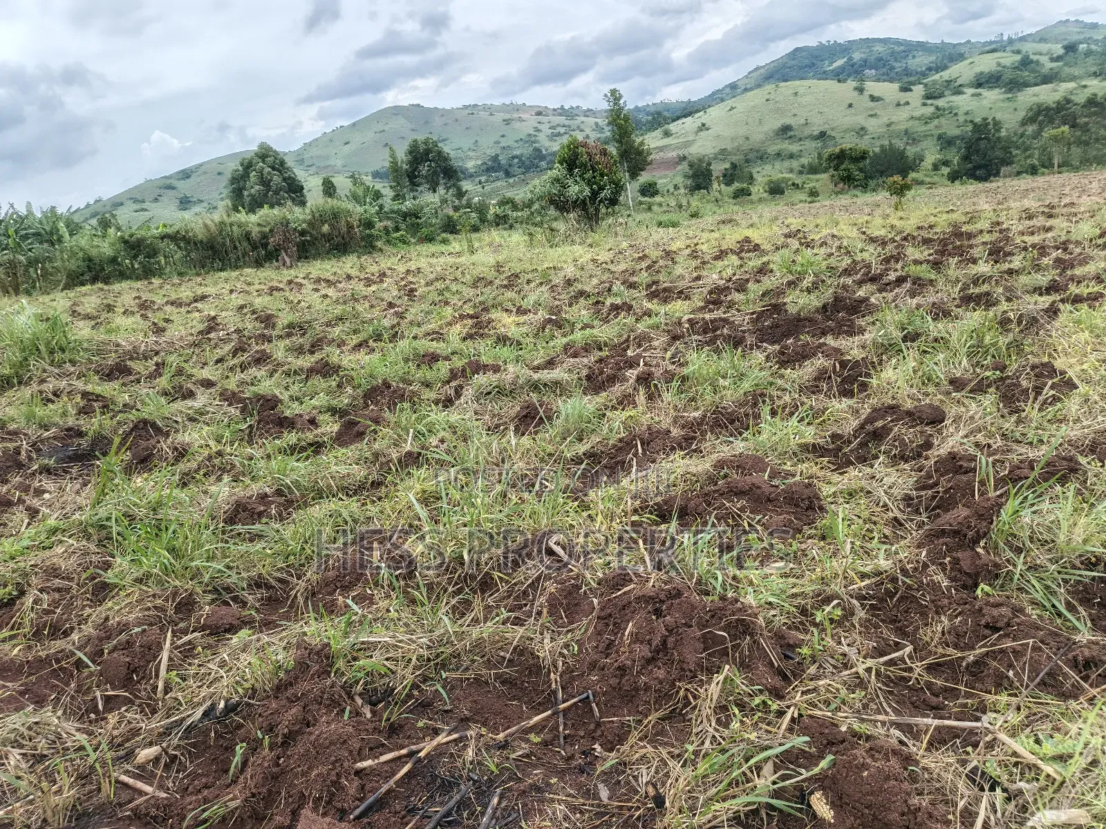 9acres of Agricultural Land on Sale Located in Kisojo in Kyenjojo