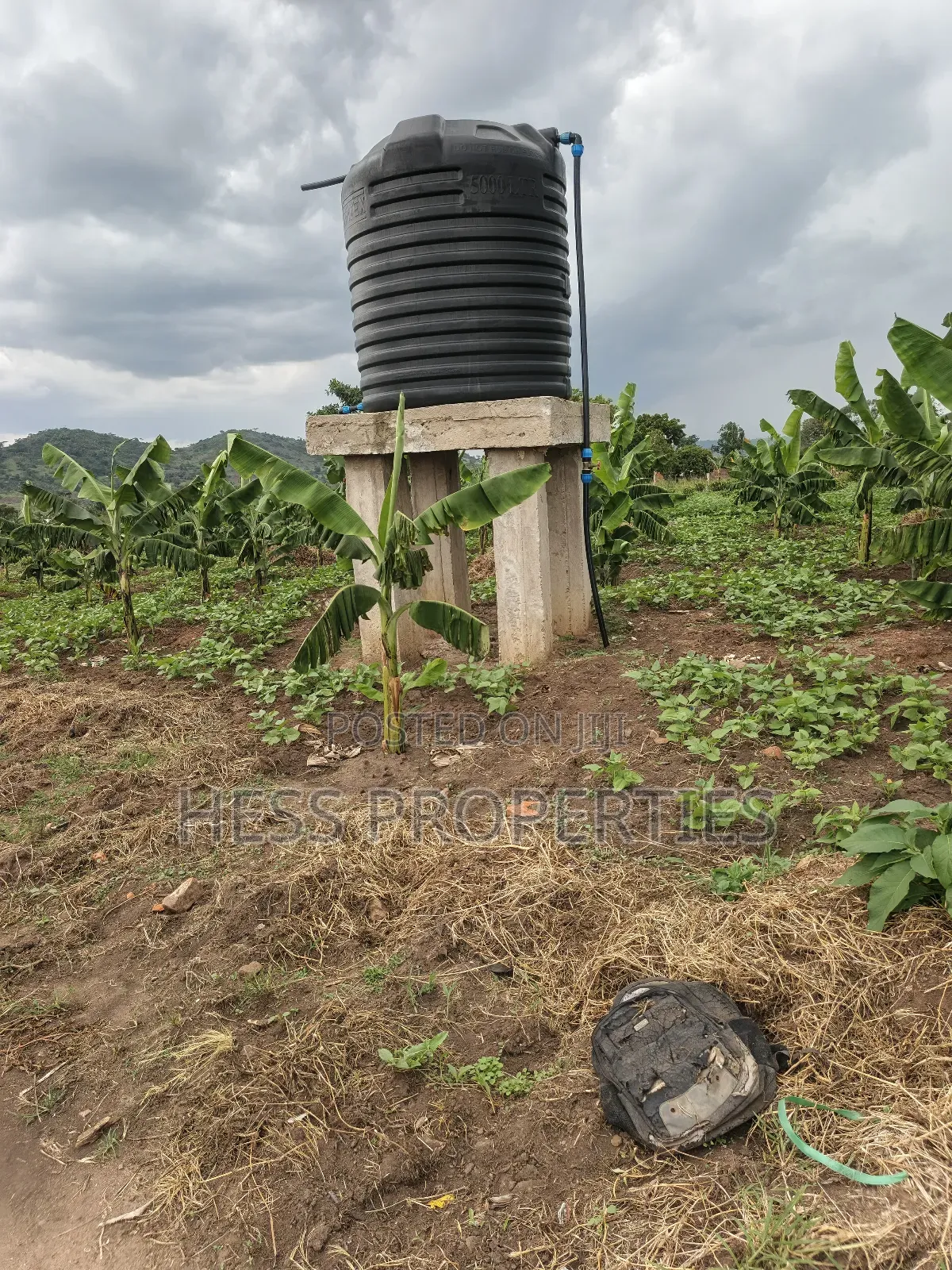 Coffee Farm on Sale Located in Bufunjo -Kyenjojo District in Kyenjojo