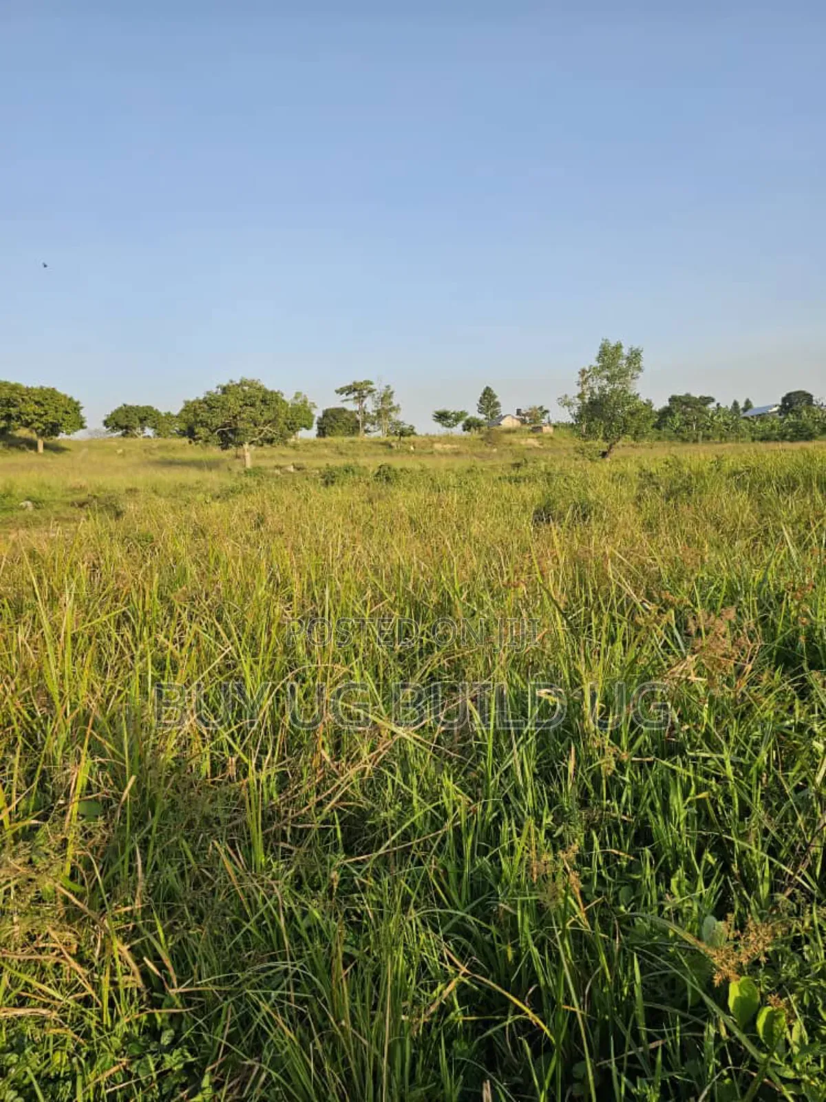 Land For Sale Along Entebbe Road Garuga Size: 10 Acres 700m Ugx Per in Luwero / Luwero