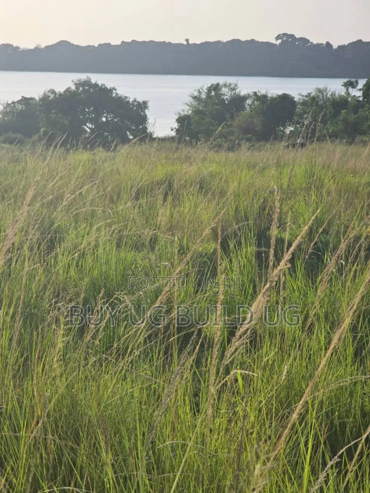 Land For Sale Along Entebbe Road Garuga Size: 10 Acres 700m Ugx Per in Luwero / Luwero