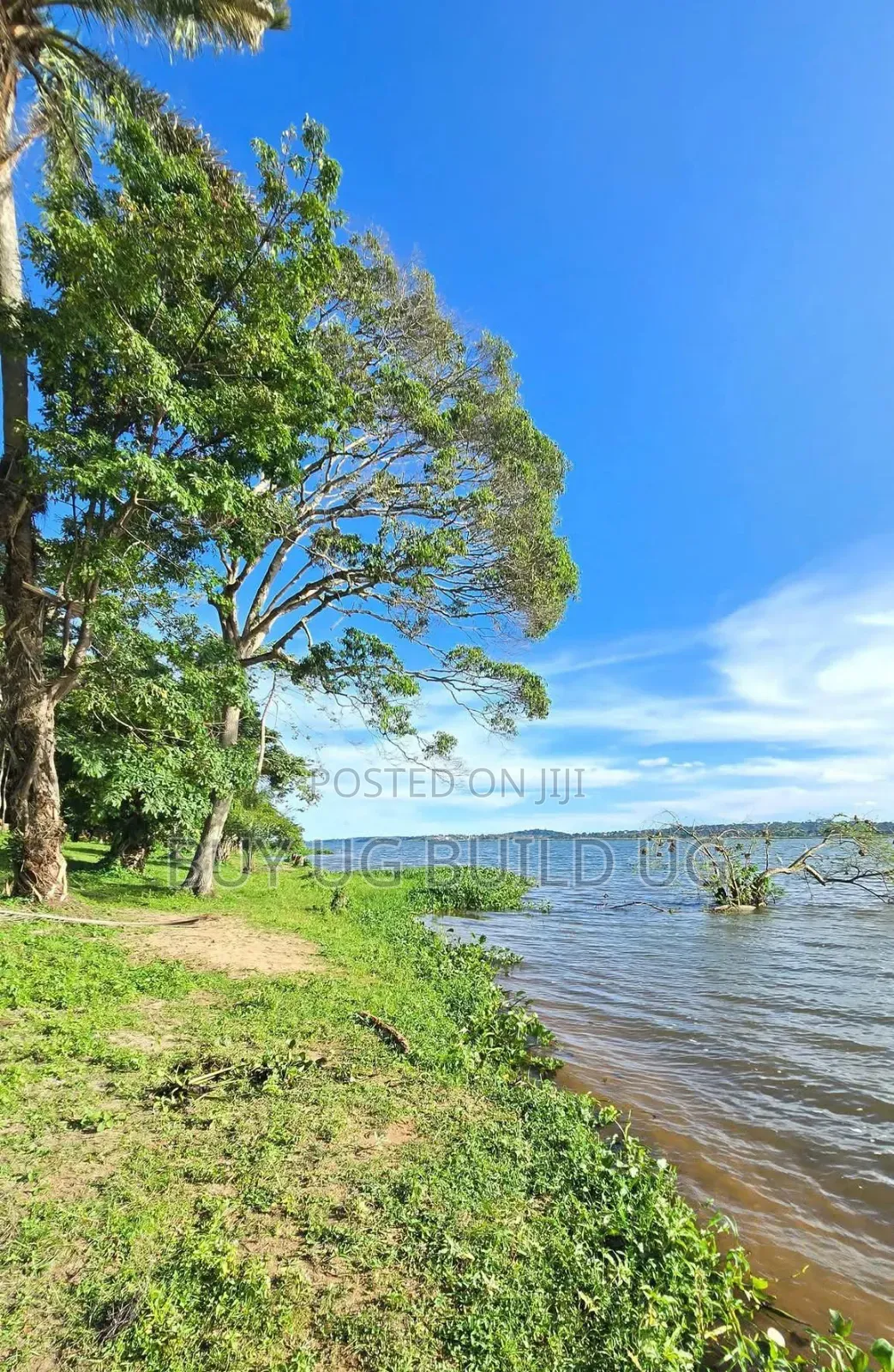 Land for Sale Kawuku Bugiri 650m Ugx) in Division B