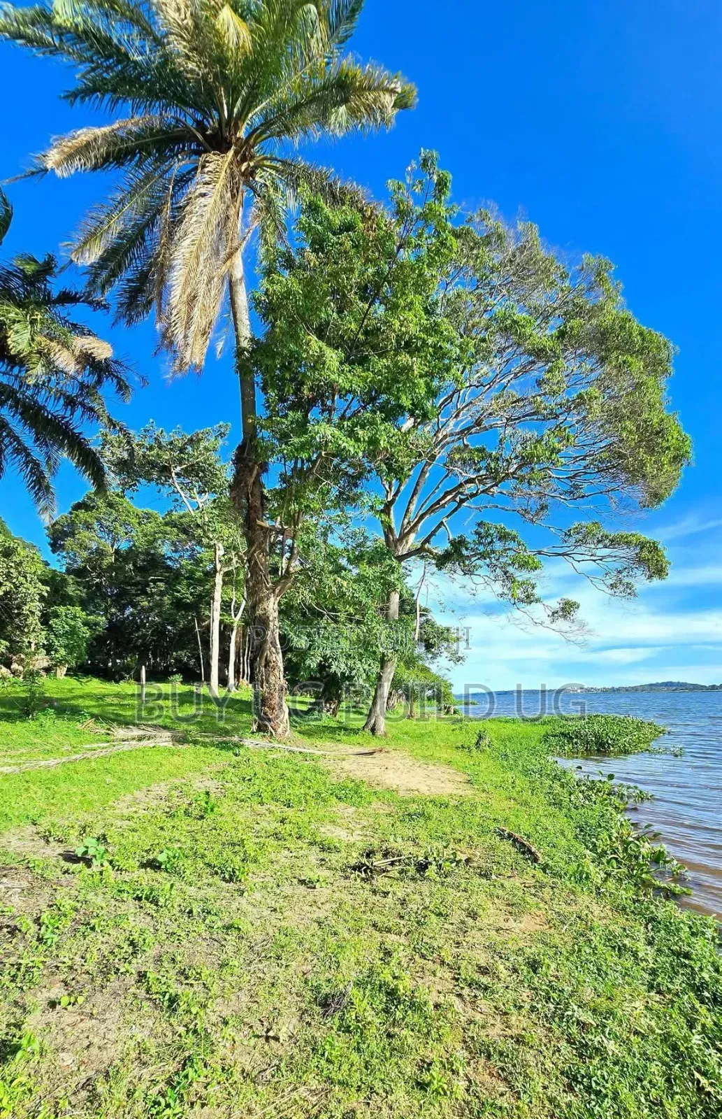Land for Sale Kawuku Bugiri 650m Ugx) in Division B