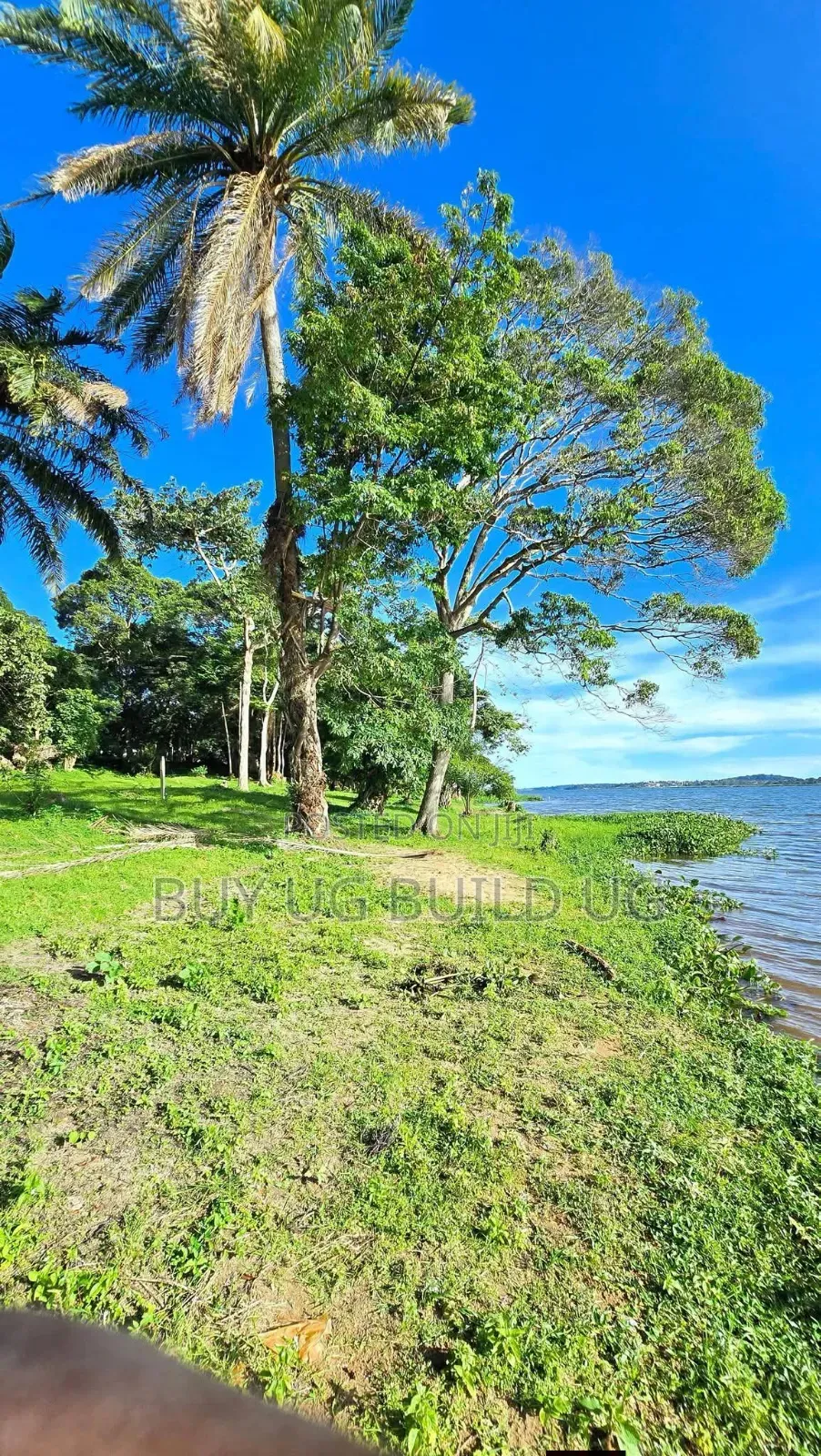 Land for Sale Kawuku Bugiri 650m Ugx) in Division B