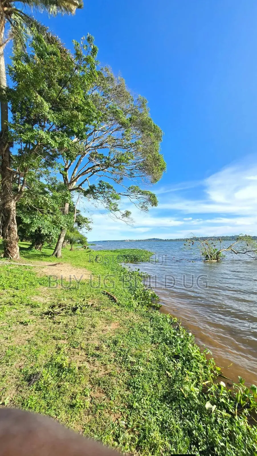 Land for Sale Kawuku Bugiri 650m Ugx) in Division B