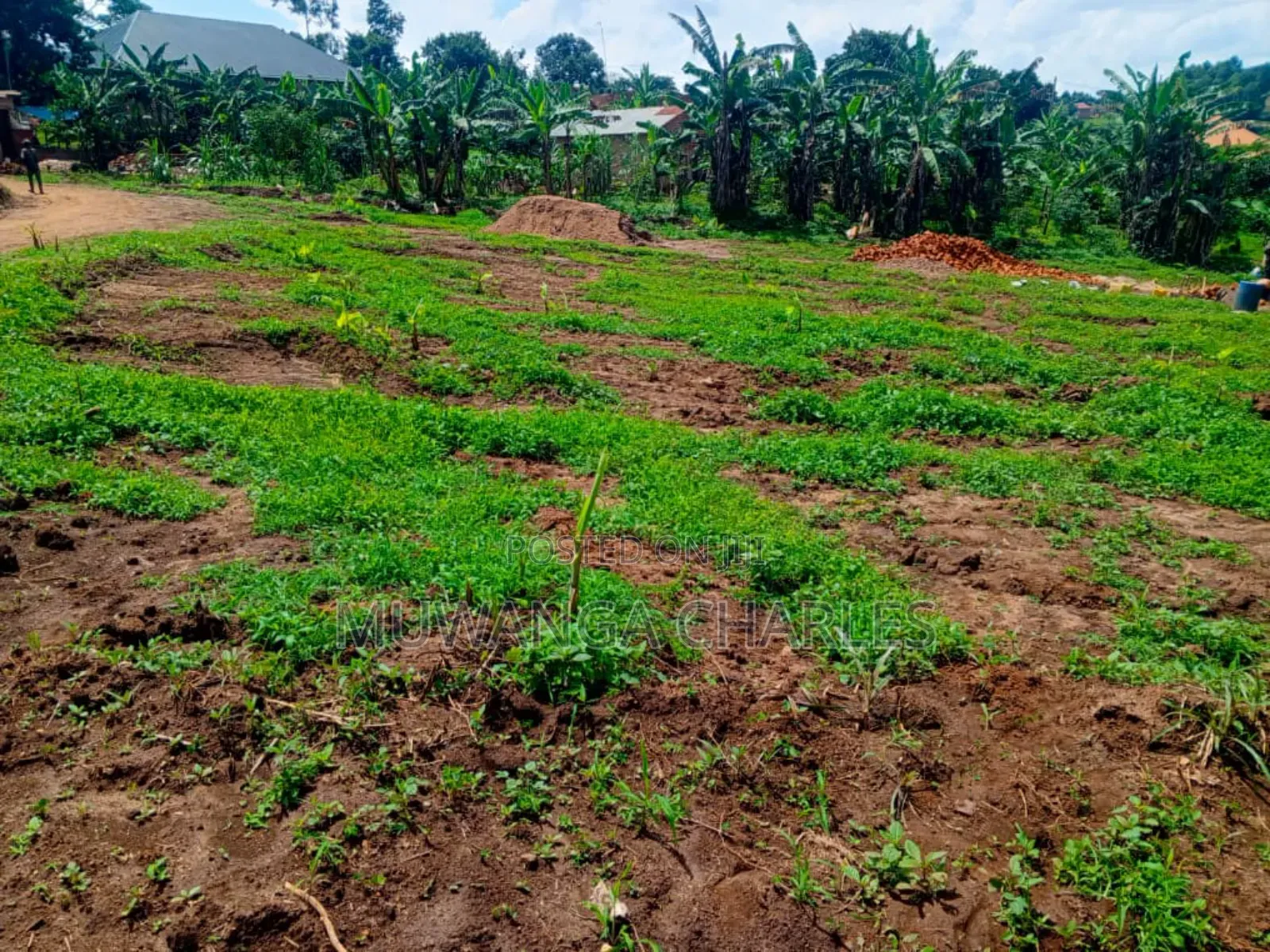 Plots on Sale in Mattuga Kavule in Gombe