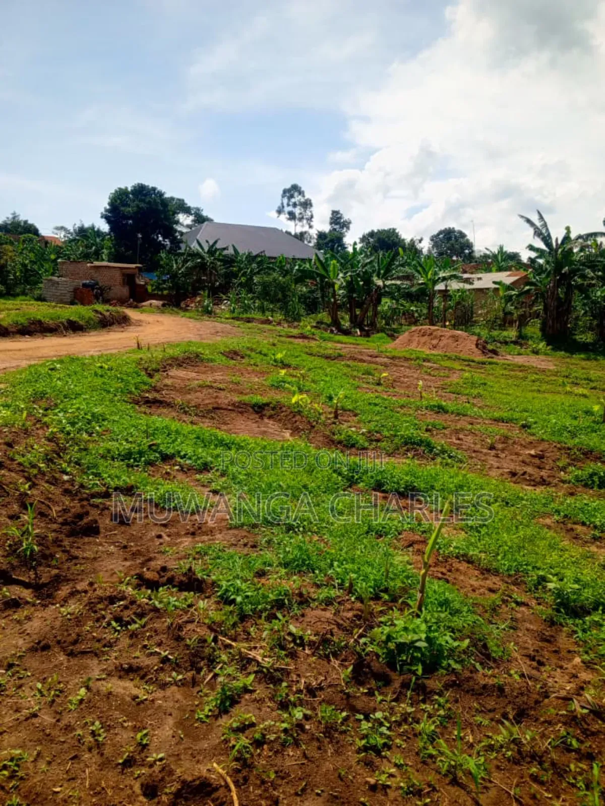 Plots on Sale in Mattuga Kavule in Gombe