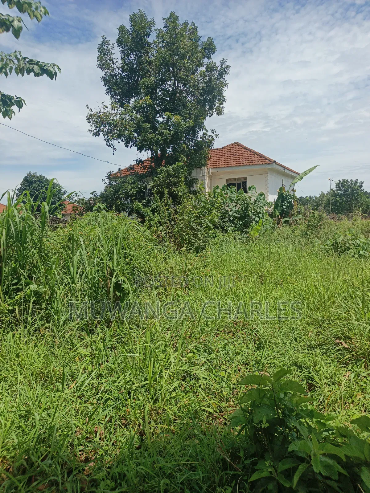 1.5acres Oon Sale in Kyanja in Nakawa