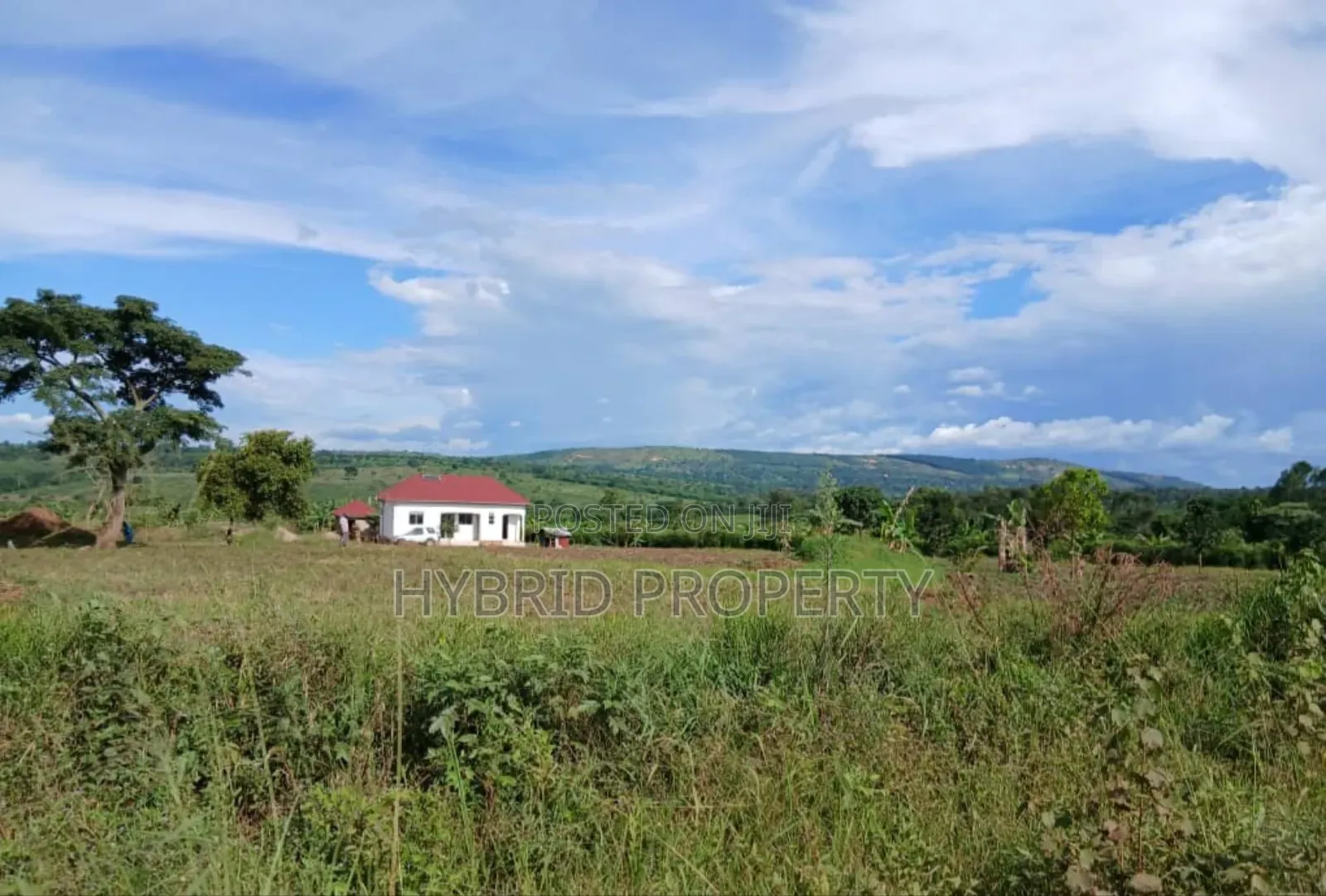 Prime 49acres of Land for Sale at Busunju Along Hoima Road V in Ssekanyonyi