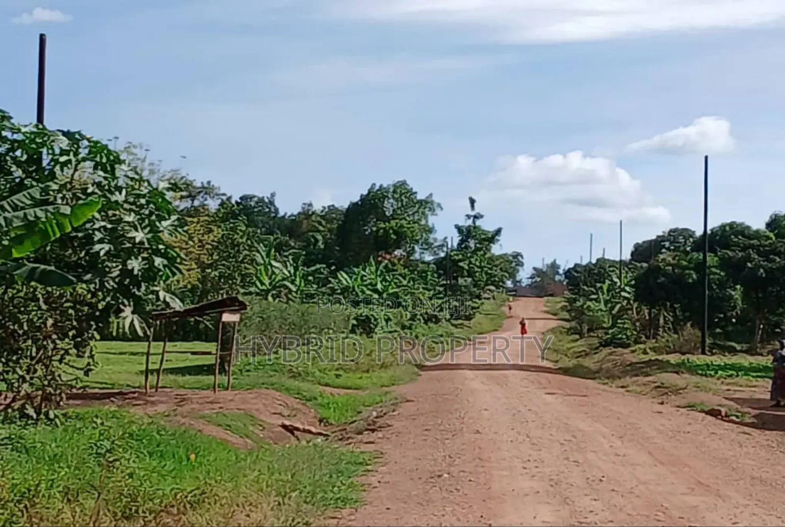 Prime 49acres of Land for Sale at Busunju Along Hoima Road V in Ssekanyonyi
