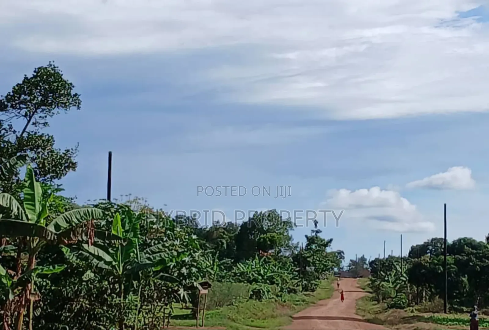 Prime 49acres of Land for Sale at Busunju Along Hoima Road V in Ssekanyonyi