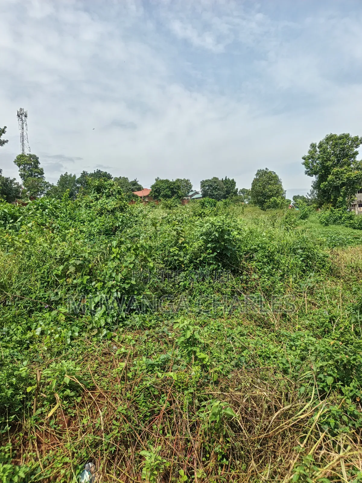 1acre of Land on Sale in Kulambilo Kisaasi in Nakawa