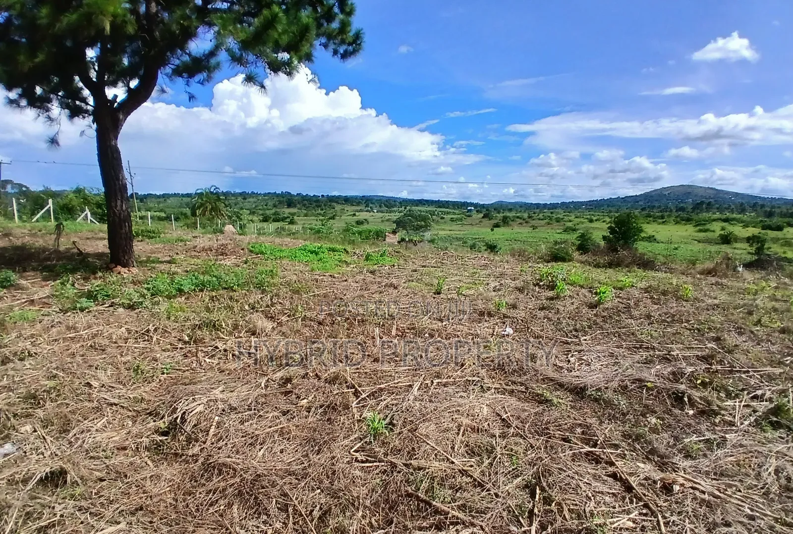 145acres Of Commercial Tarmac Land For Sale At Busunju Along Hoima Rd. in Ssekanyonyi
